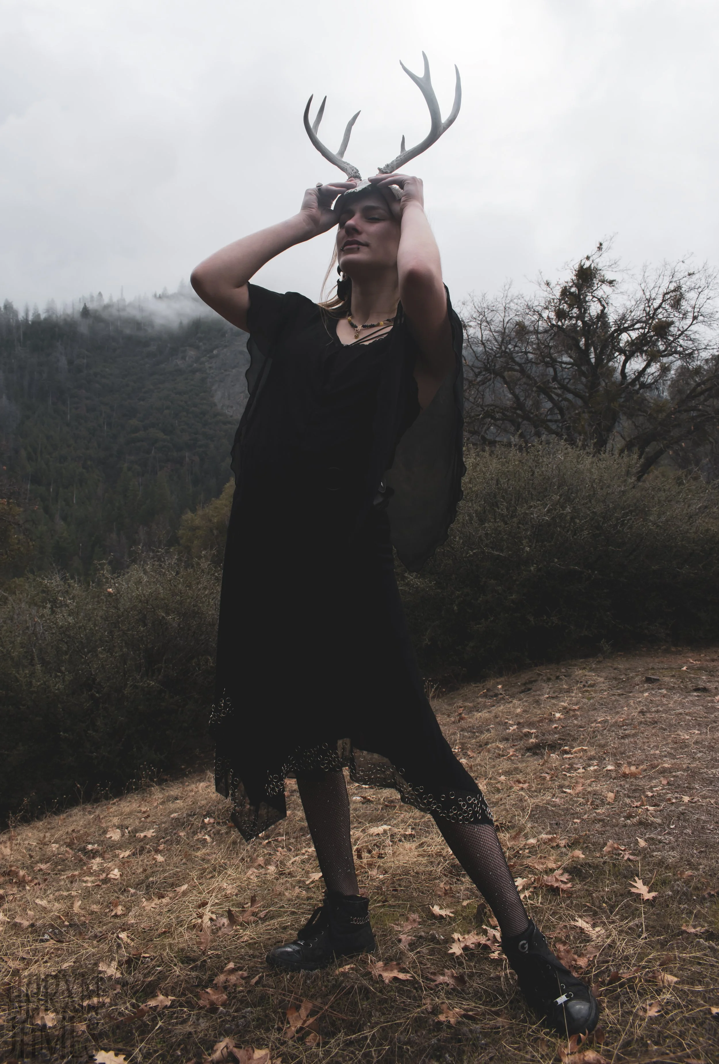 Dawn Antler Shoot 14 WM.jpg