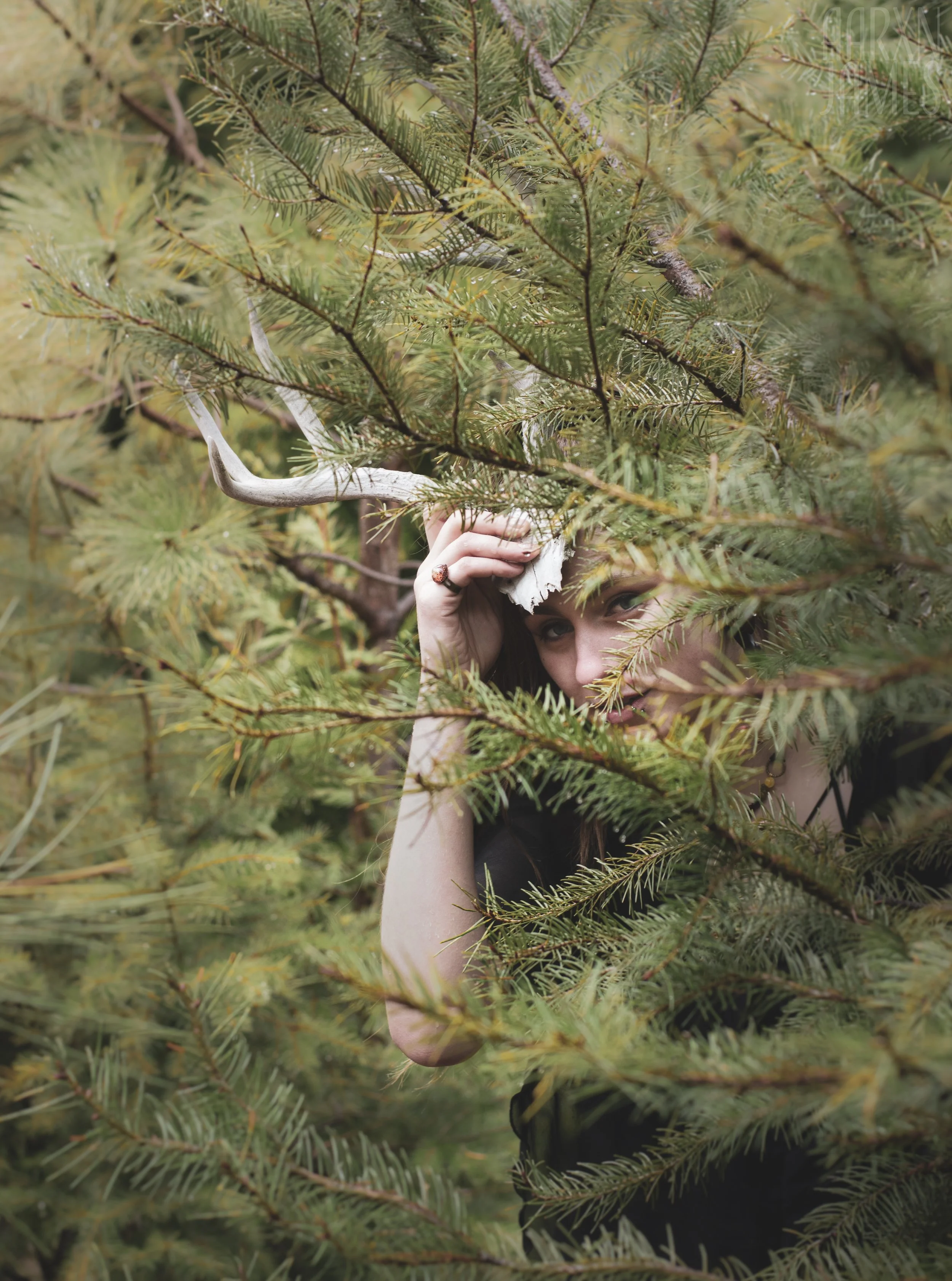 Dawn Antler Shoot 12 WM.jpg
