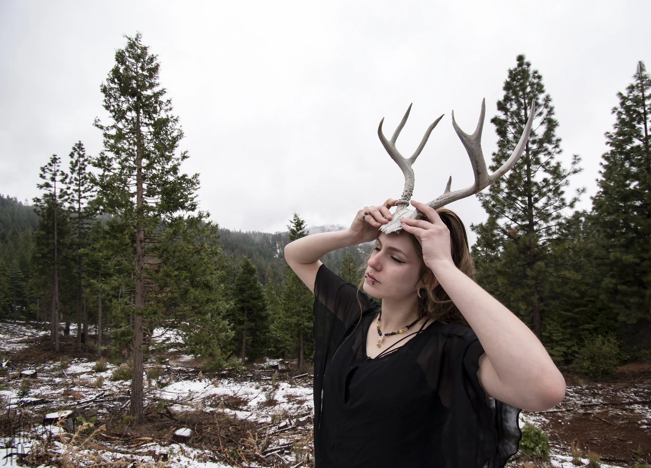 Dawn Antler Shoot 07 WM.jpg