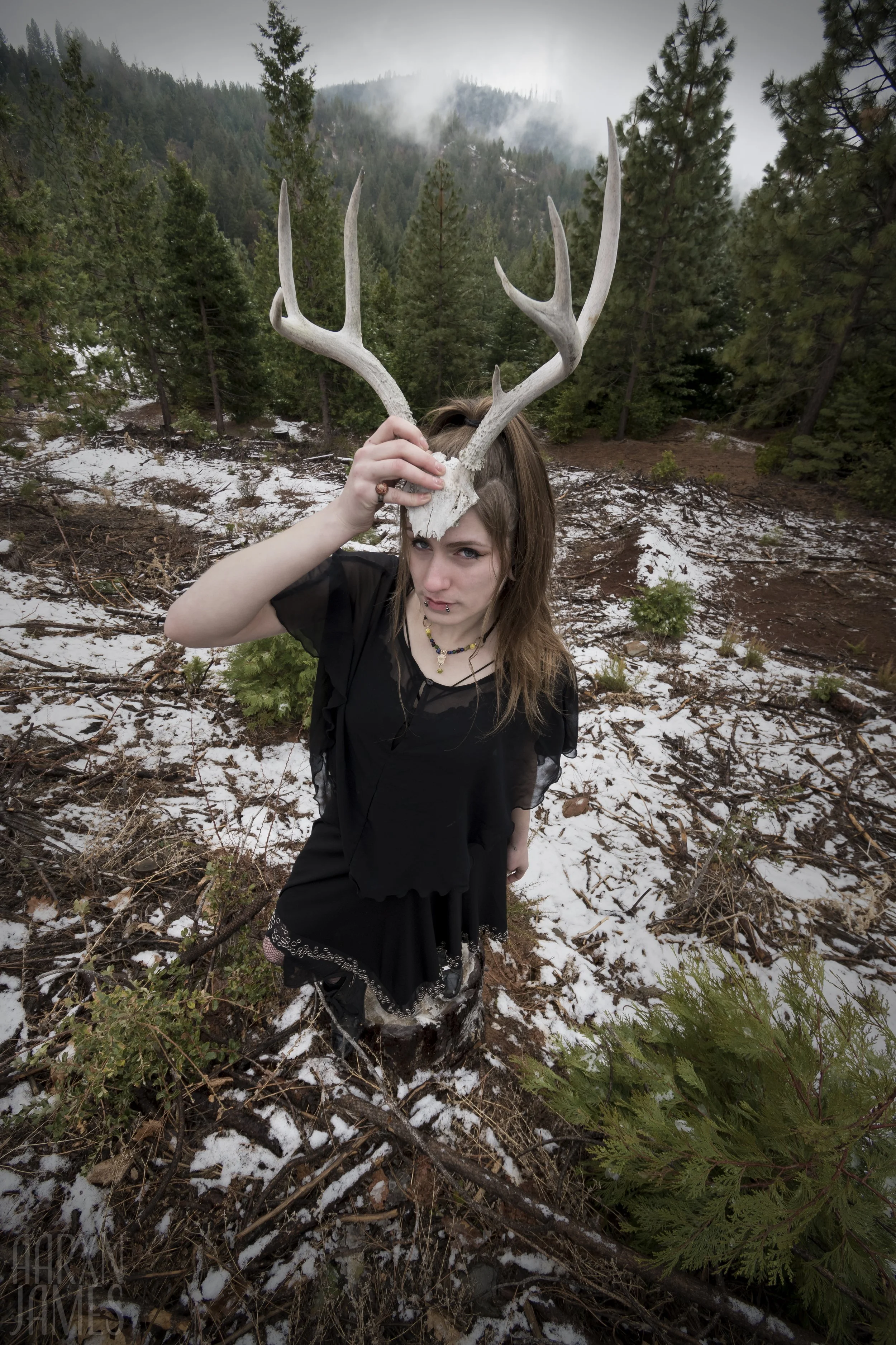 Dawn Antler Shoot 06 WM.jpg