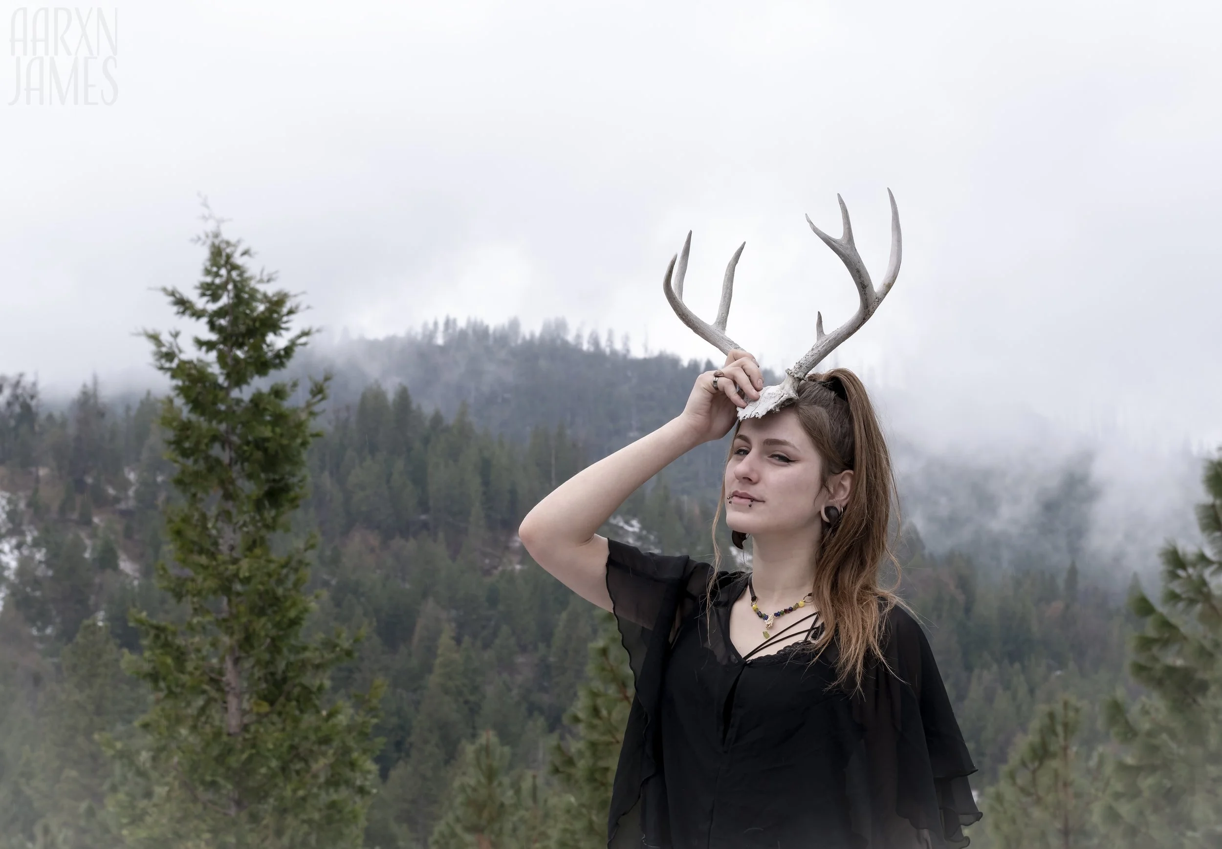 Dawn Antler Shoot 04 WM.jpg