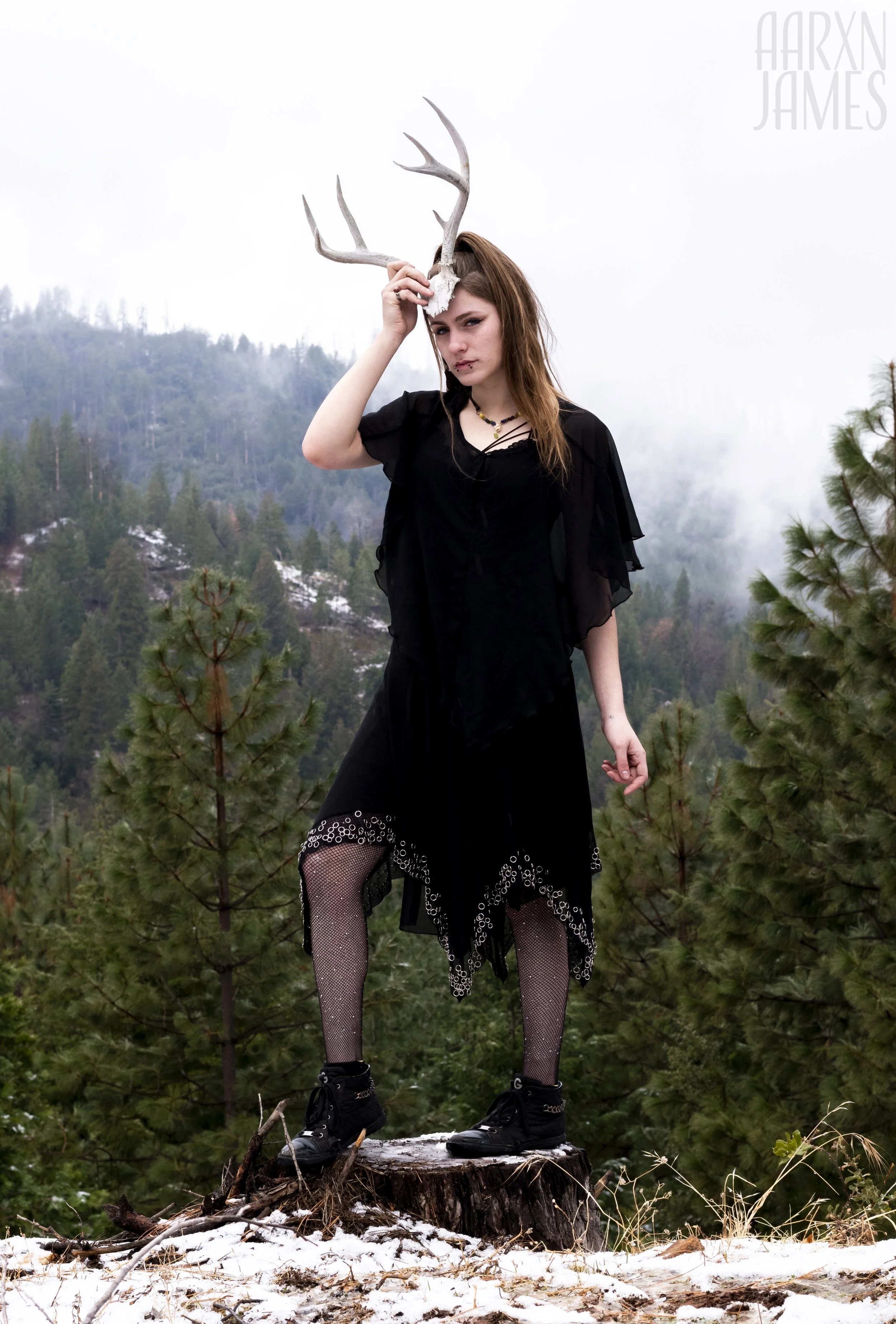 Dawn Antler Shoot 03 WM.jpg