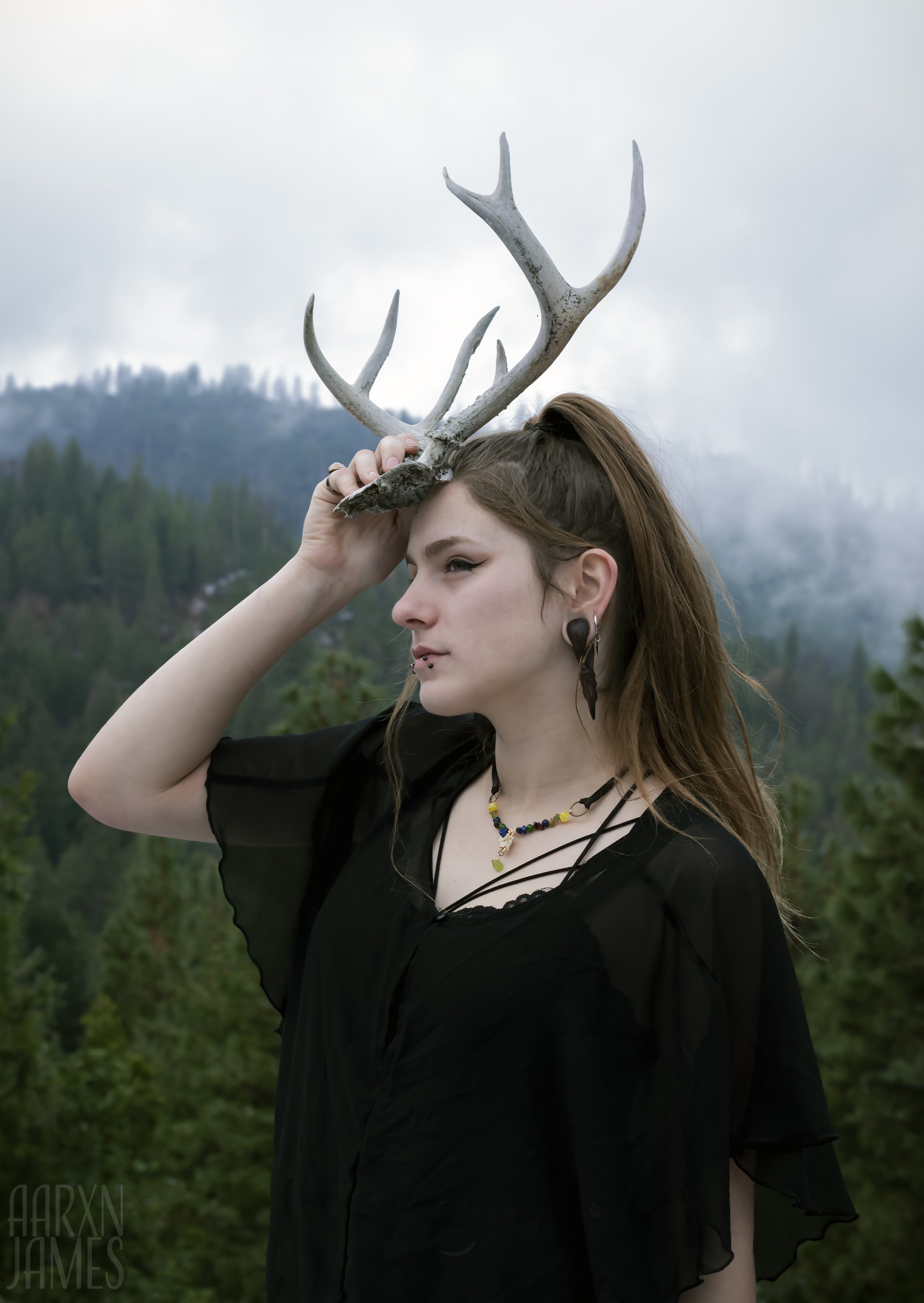 Dawn Antler Shoot 02 WM.jpg