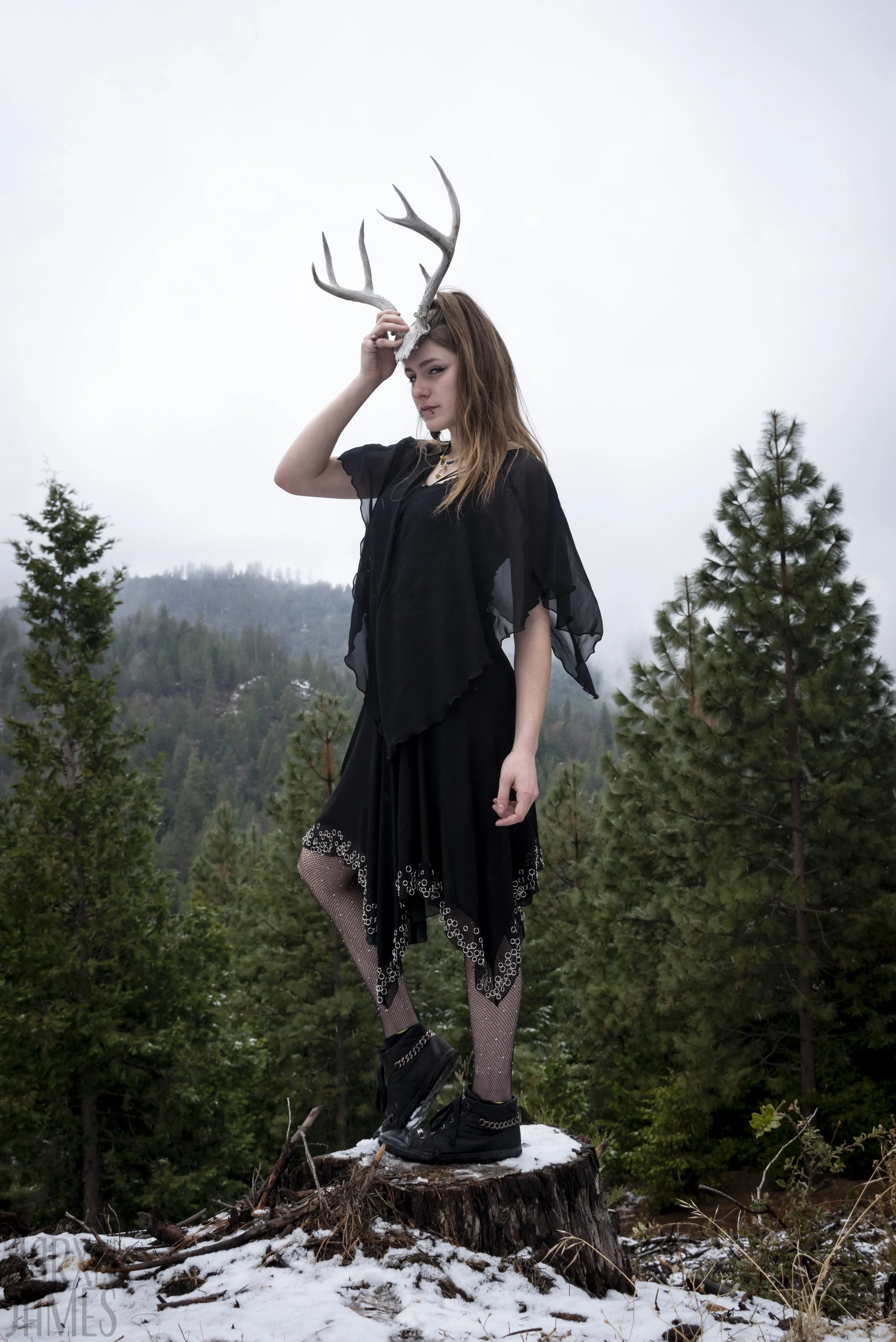 Dawn Antler Shoot 01 WM.jpg