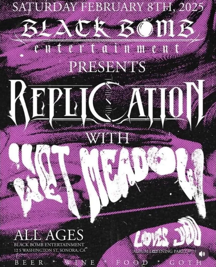 Replication X Wet Meadow Flyer.JPG
