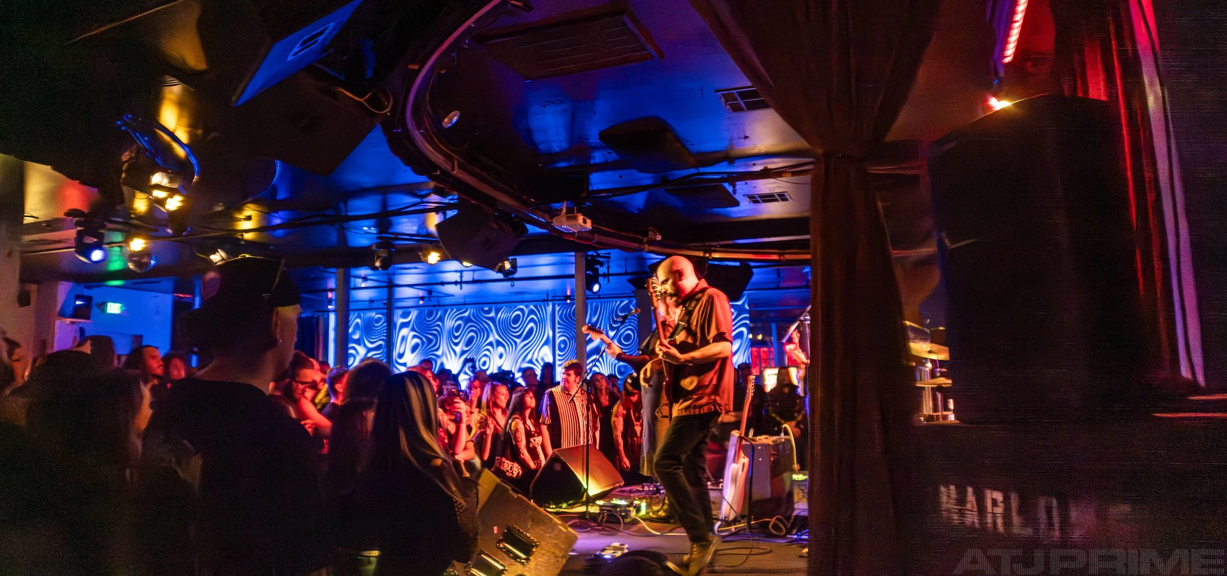 260515_ATJprime_Harlows_Iress_035_pWM.jpg