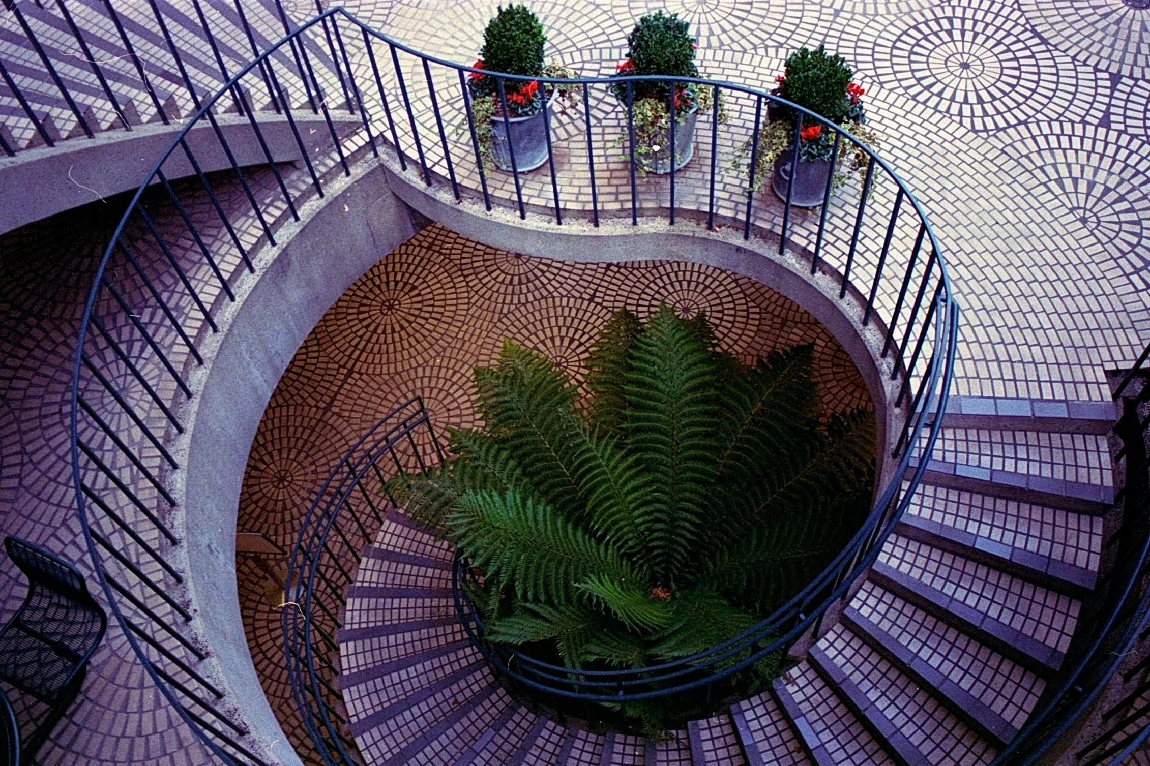sf_photo_walk13.webp