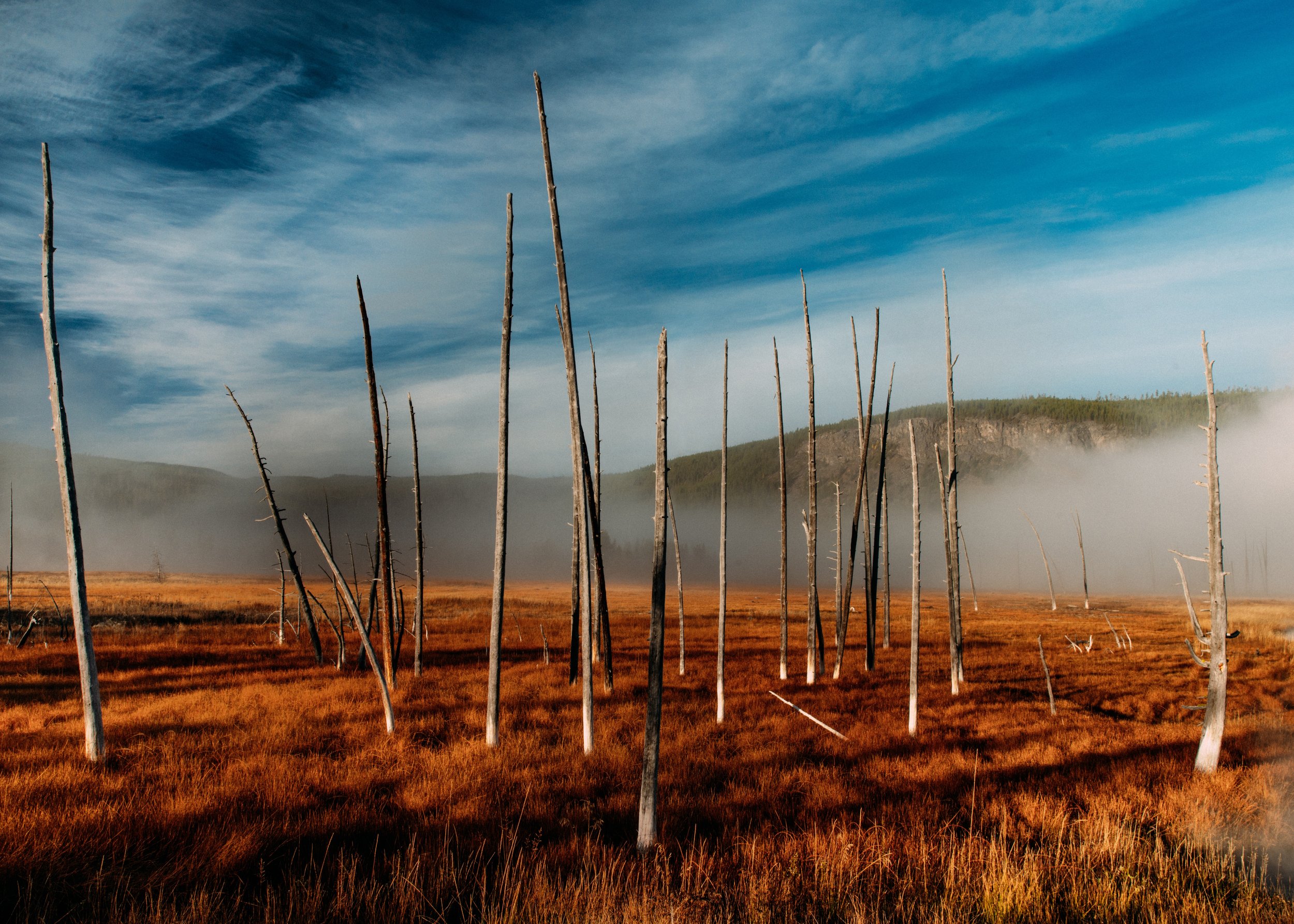 Yellowstone National Park, Montana, USA