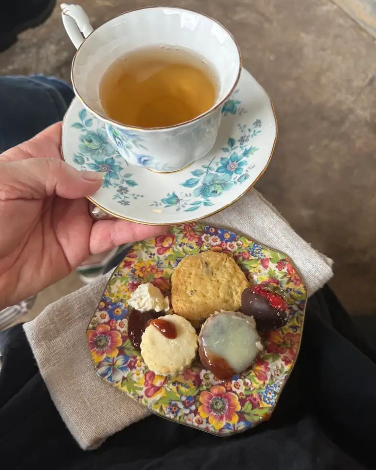 A person holding a floral-patterned cup of tea or coffee with a matching saucer. On their lap, a colorful plate with assorted cookies and a dollop of whipped cream. The person is sitting on a beige cloth, and the background appears to be a rustic surface.
