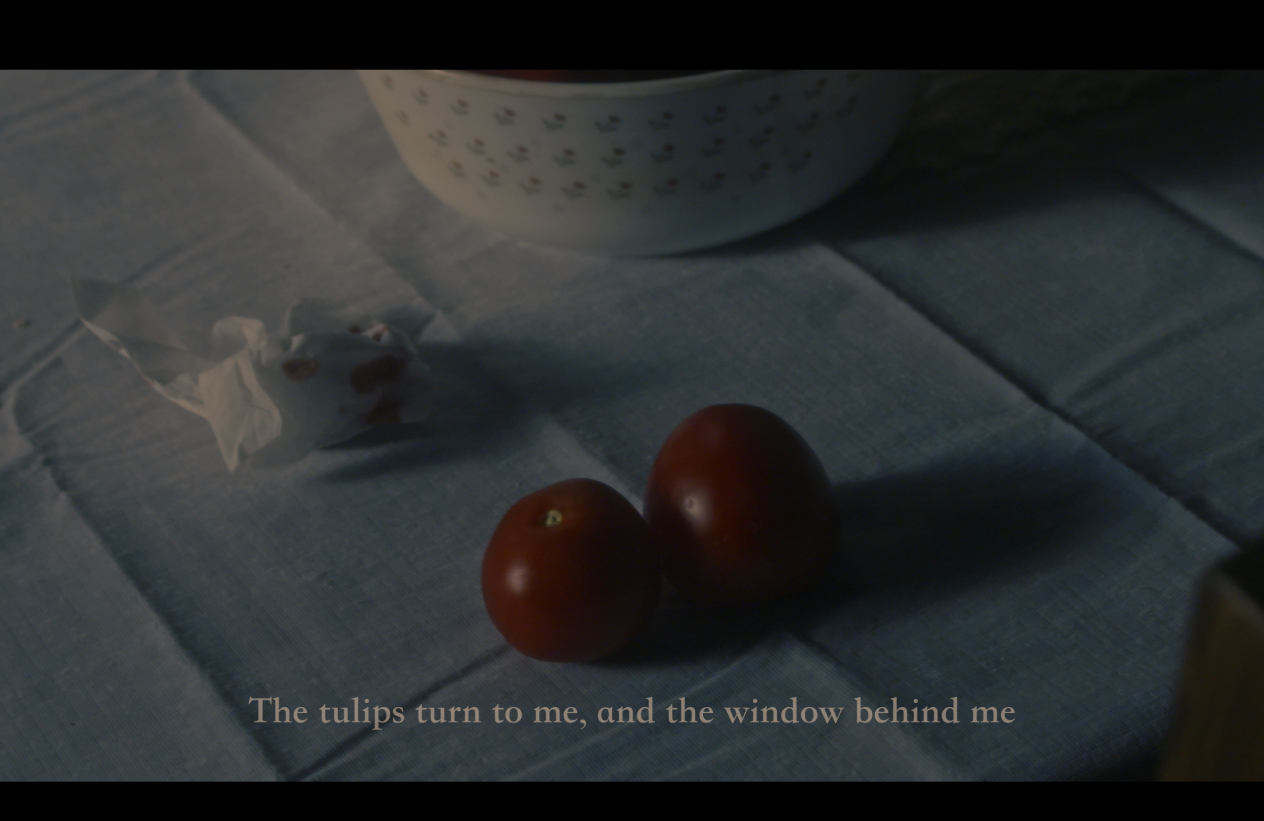 Screenshot 2026-01-13 at 4.48.24 PM.png