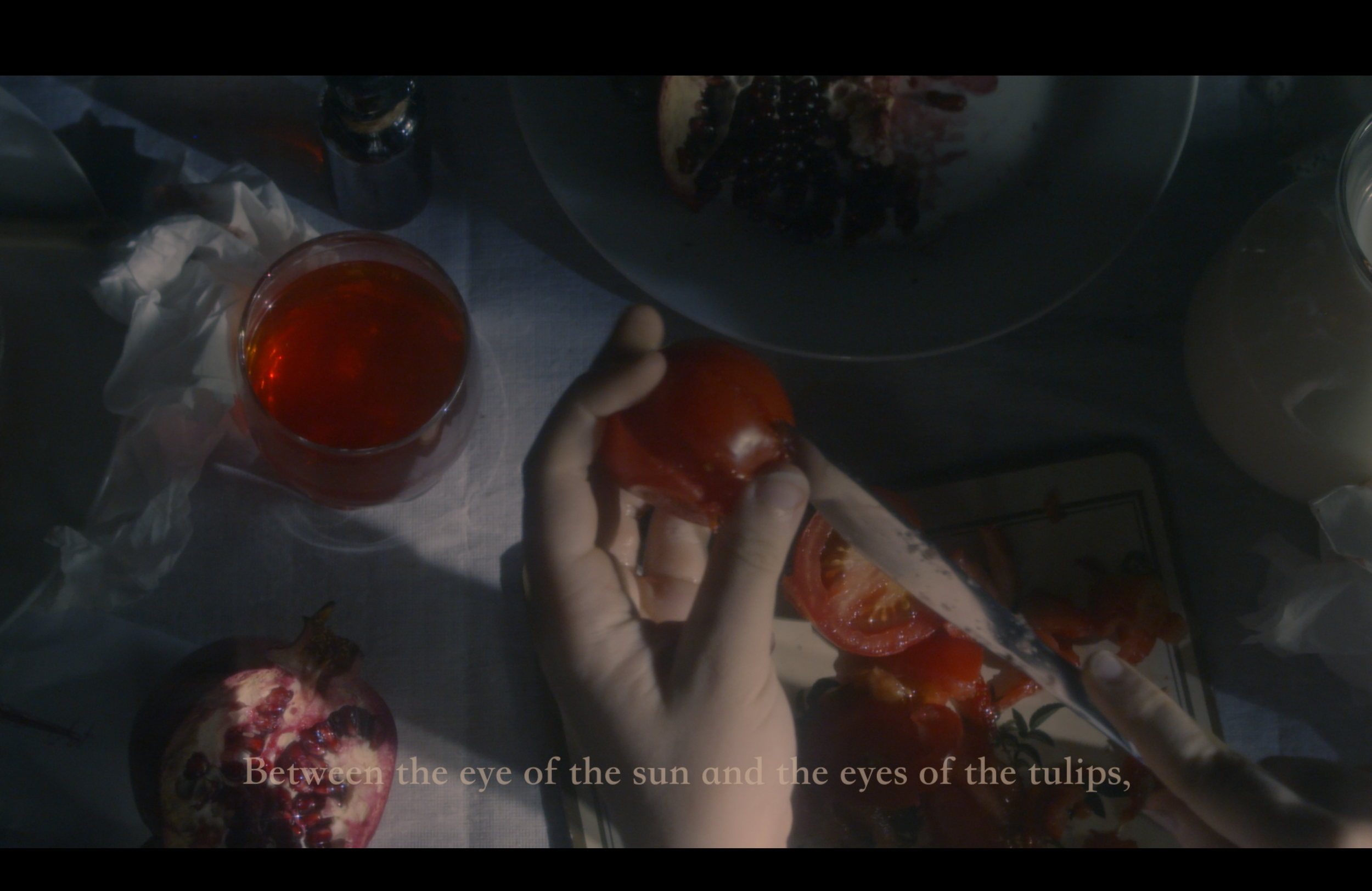 Screenshot 2026-01-13 at 4.51.02 PM.png