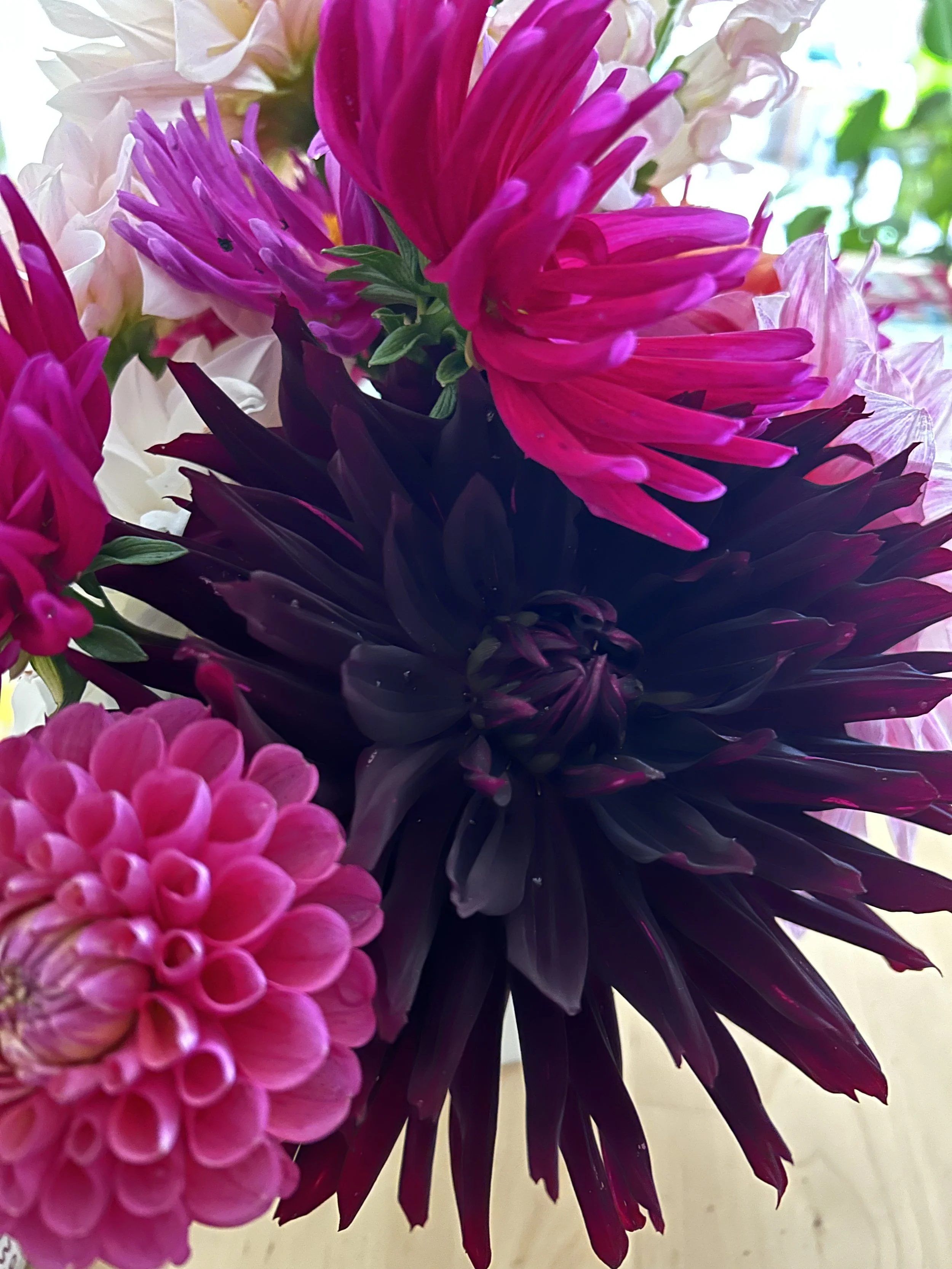 Close-up of a bouquet of pink and purple flowers, including dahlias with layered petals and elongated petals, with a blurred background.