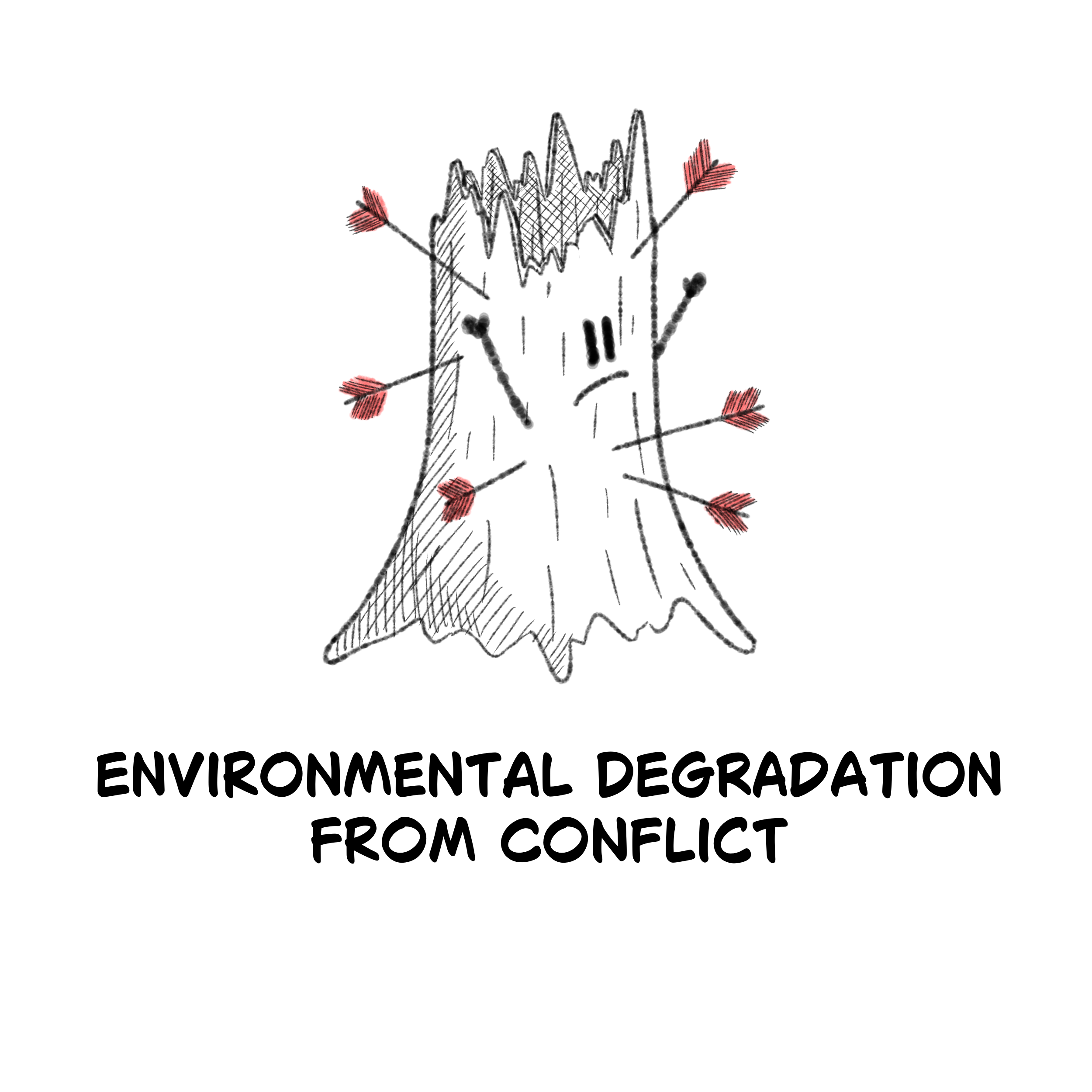 Environmental degradation from conflict.png