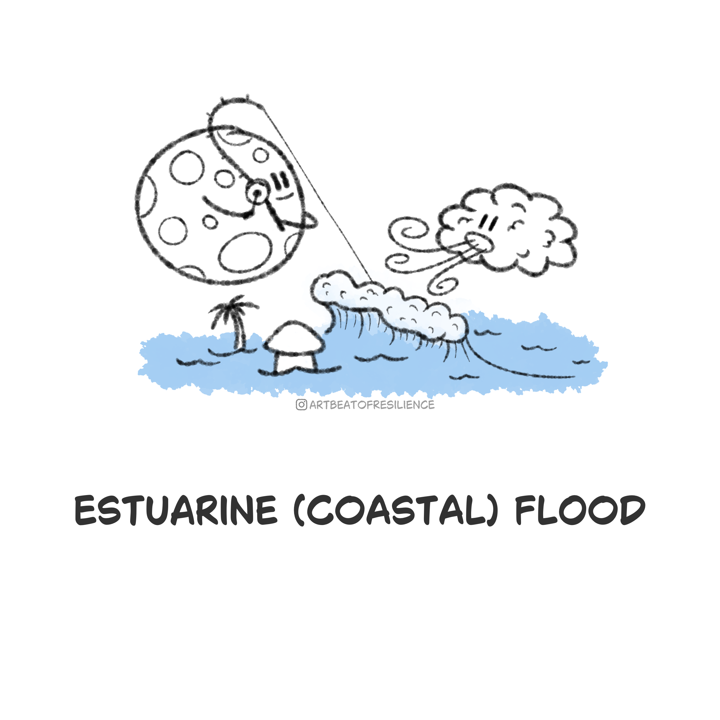 Estuarine and costal.png
