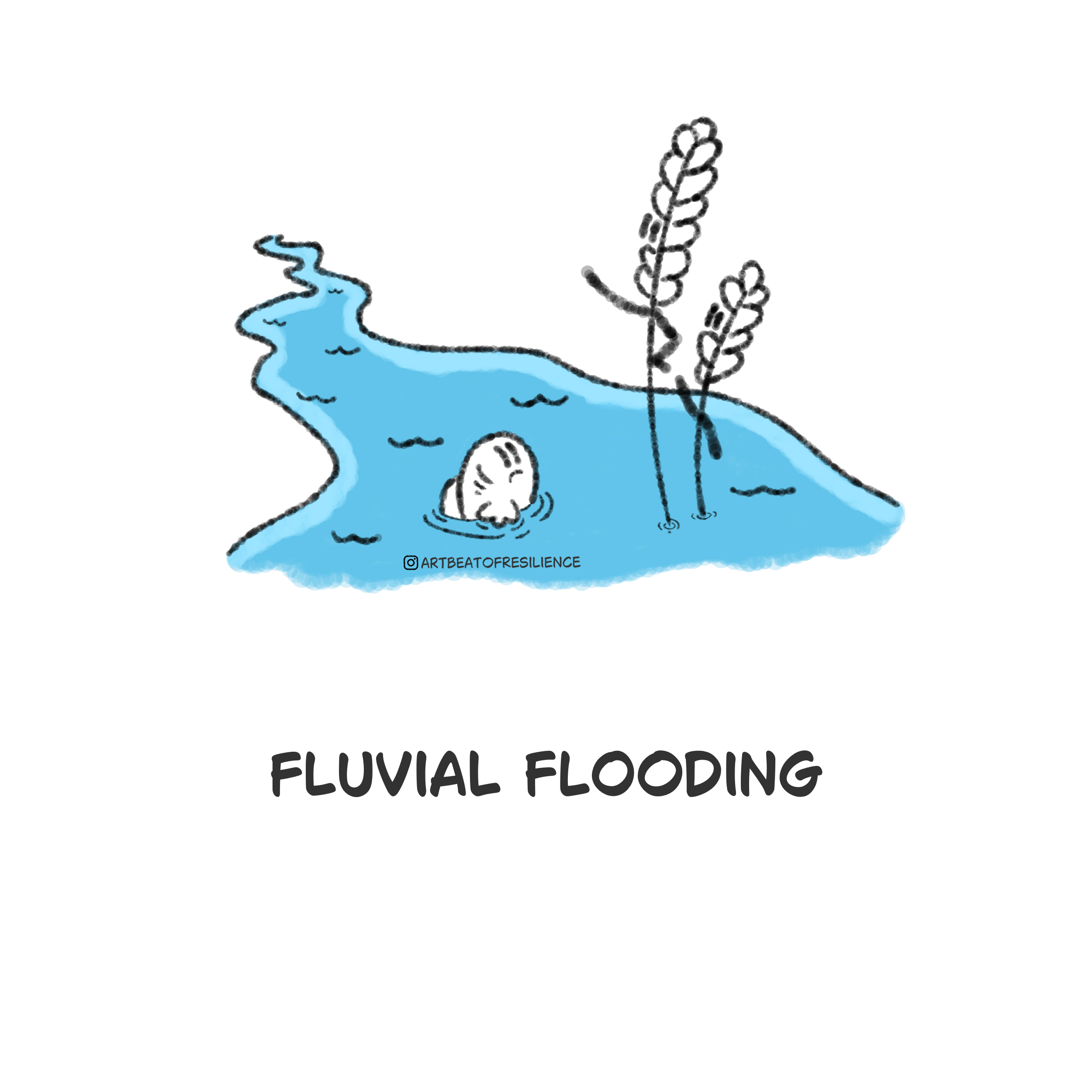 Fluvial flooding hips  .png