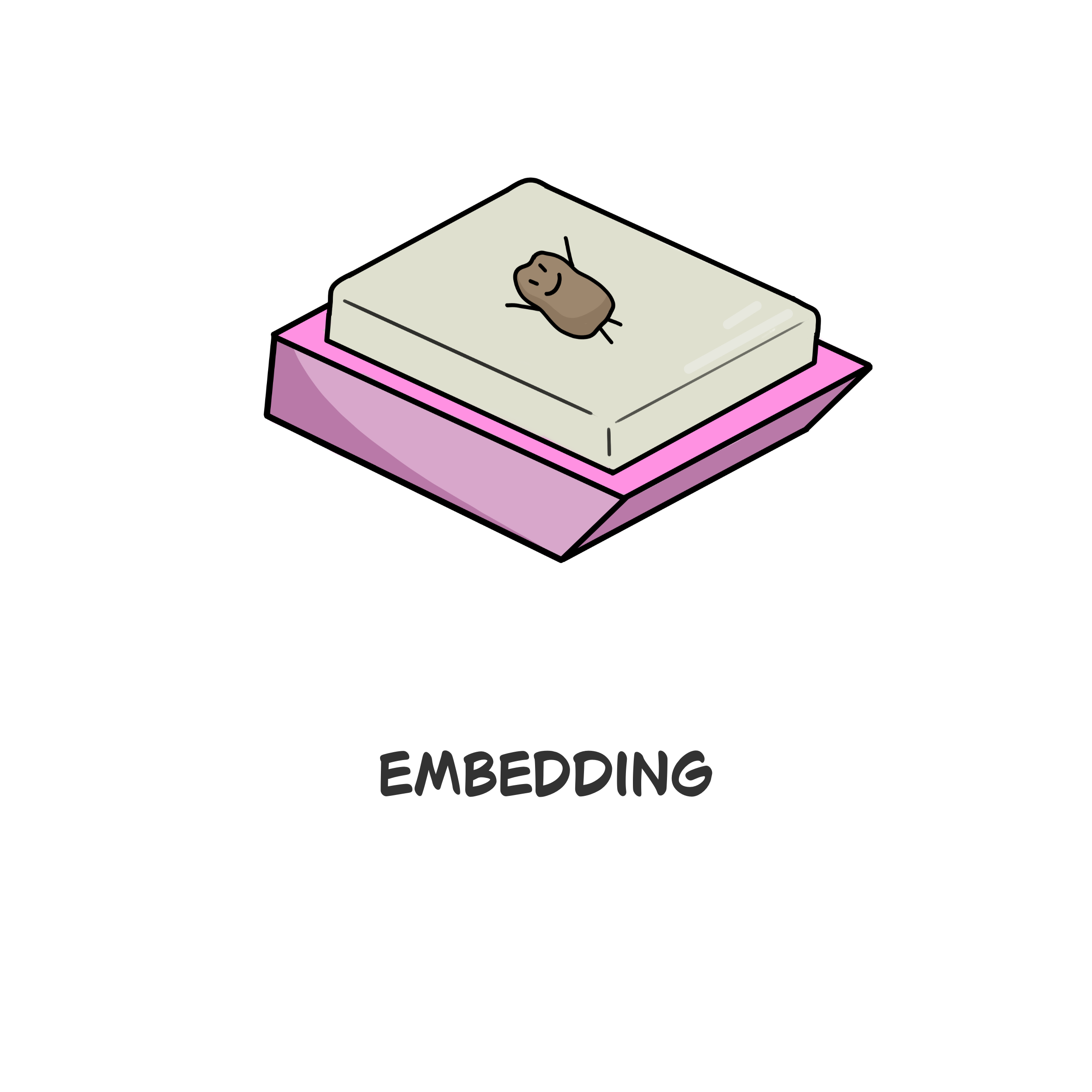 Embedding (1).png