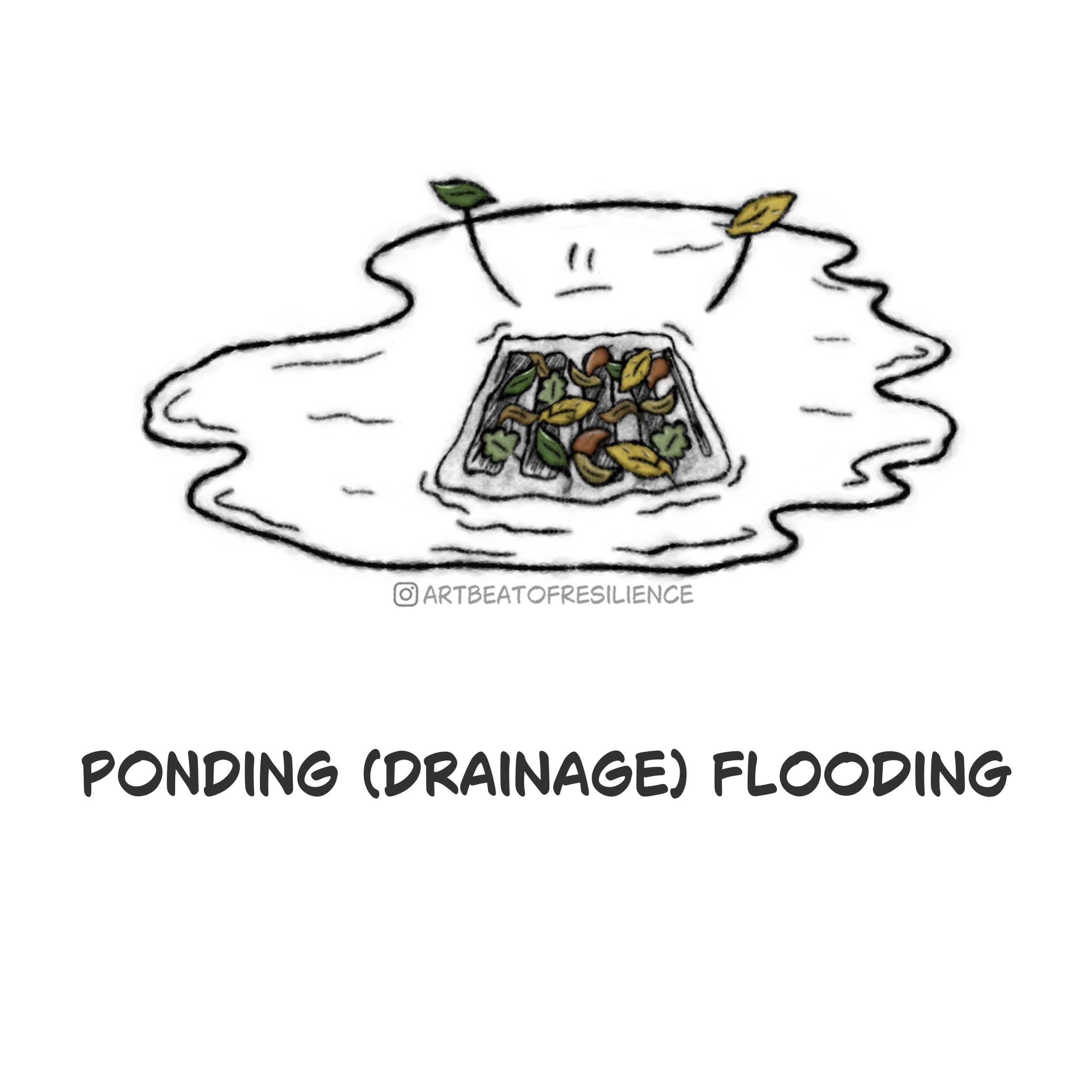 Ponding flooding.png