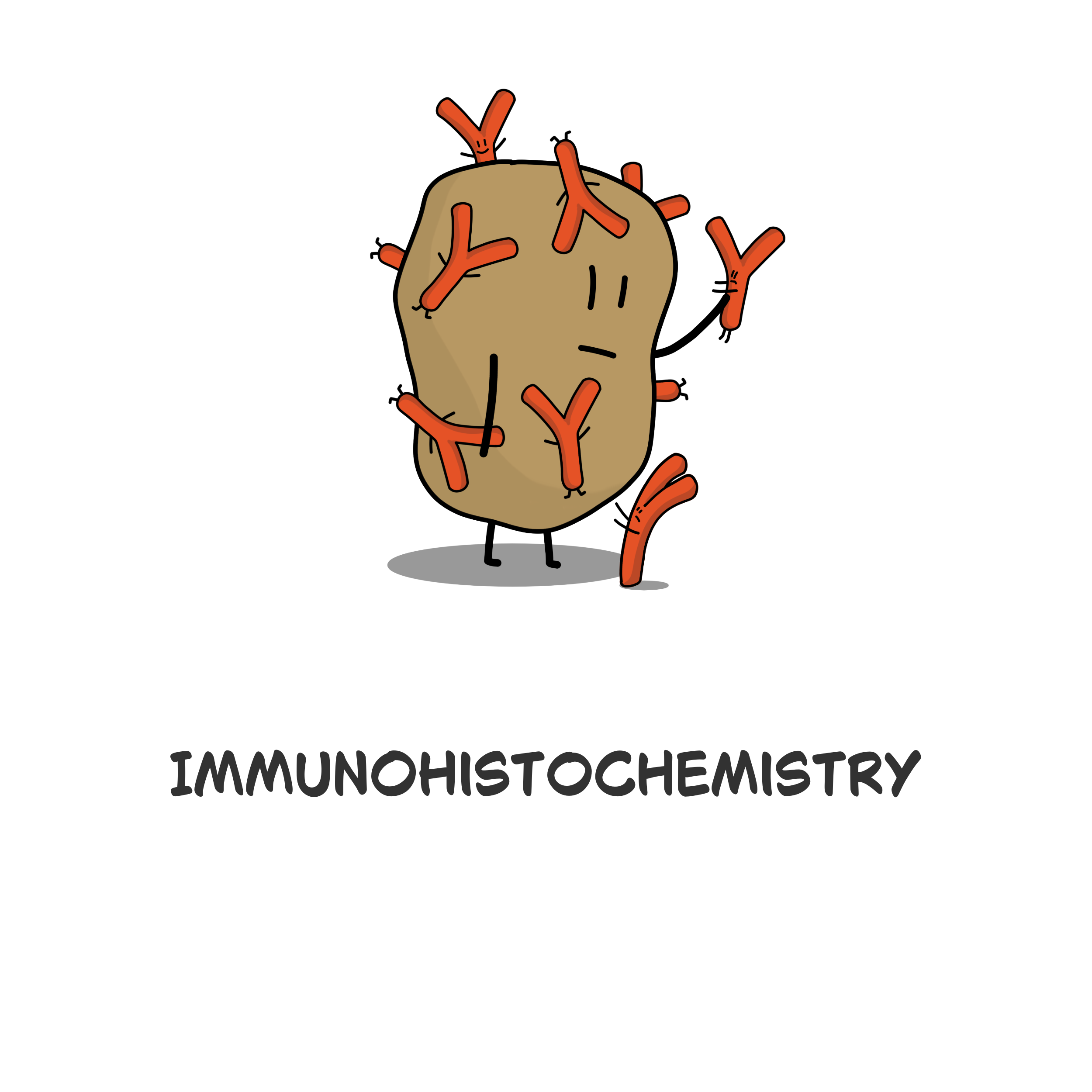 Immuno.png