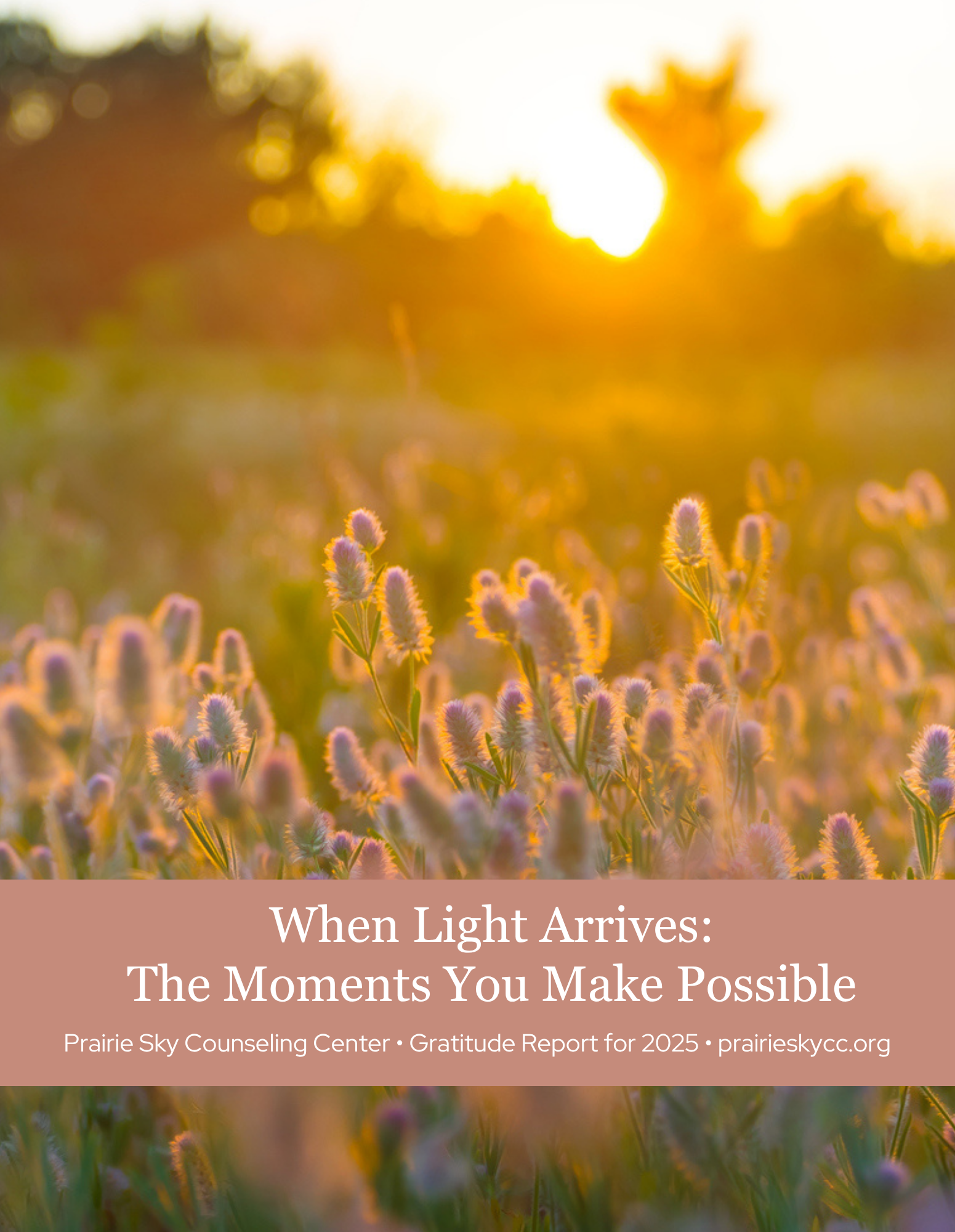 When Light Arrives: Our 2025 Gratitude Report