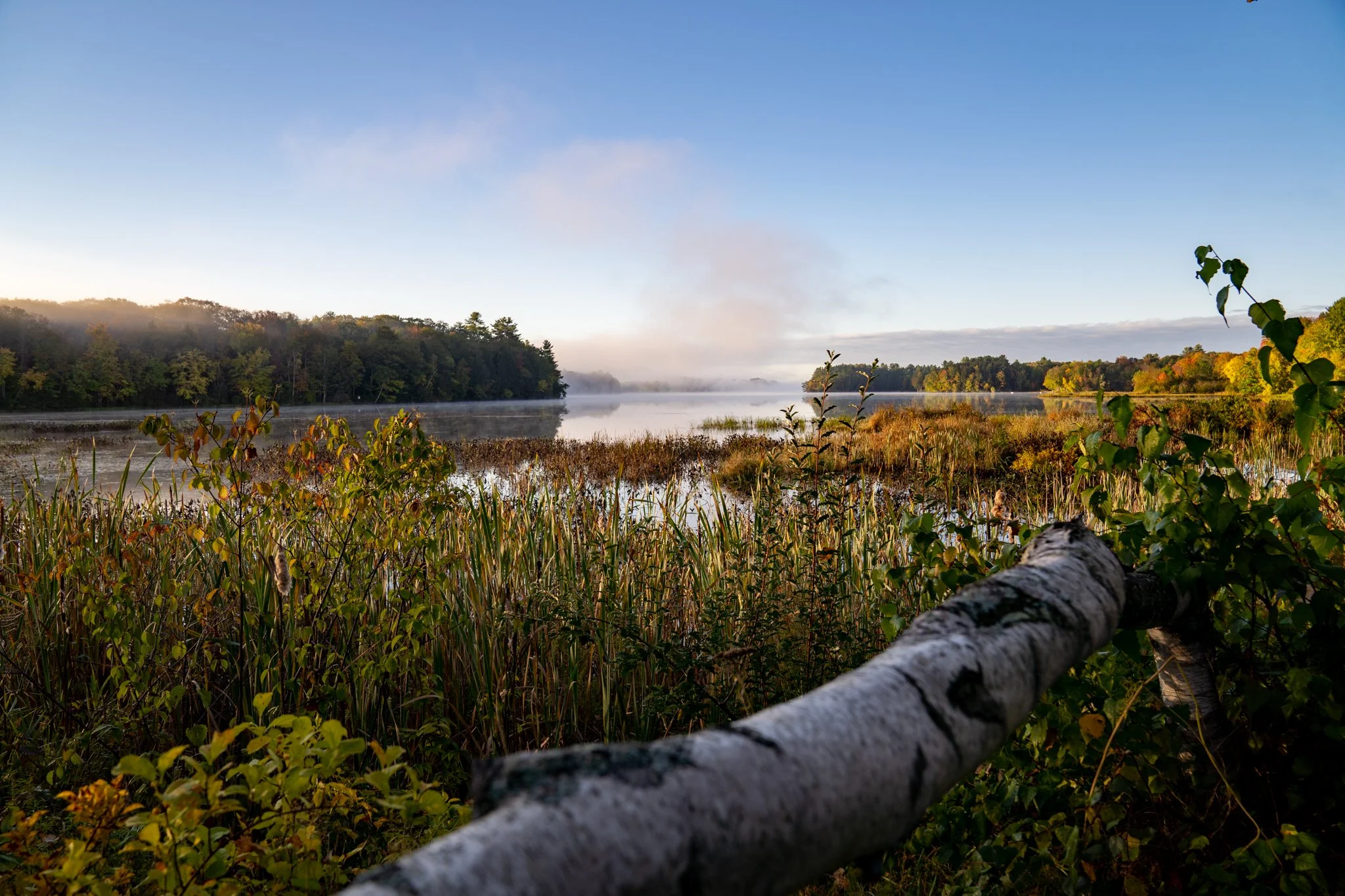 Scenic view of a peaceful lake with calm waters, surrounded by lush greenery and trees showing early fall colors, with mist rising from the water and a partly cloudy sky.