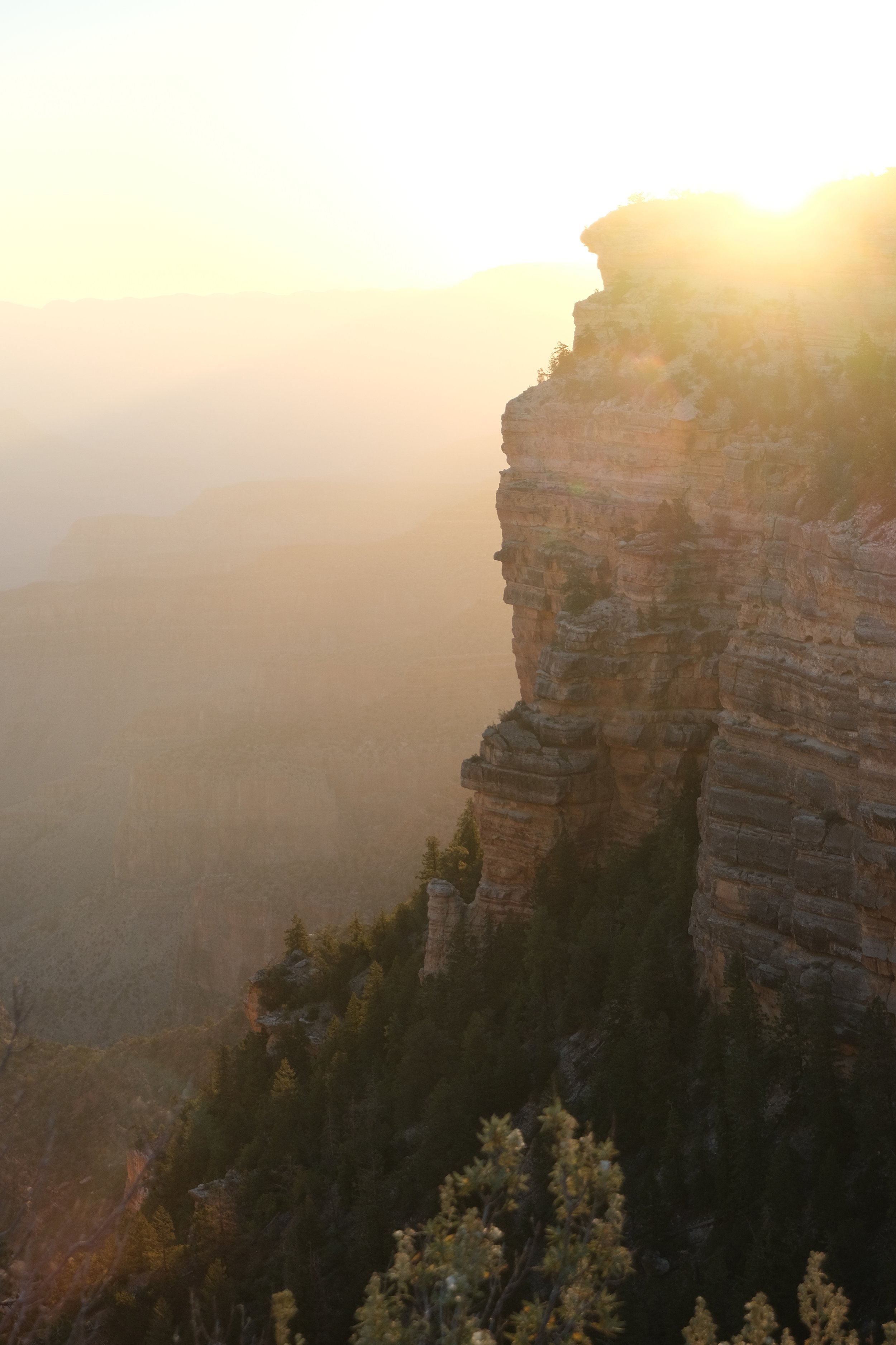 Sunset over the Grand Canyon with rocky cliffs and pine trees in the foreground.