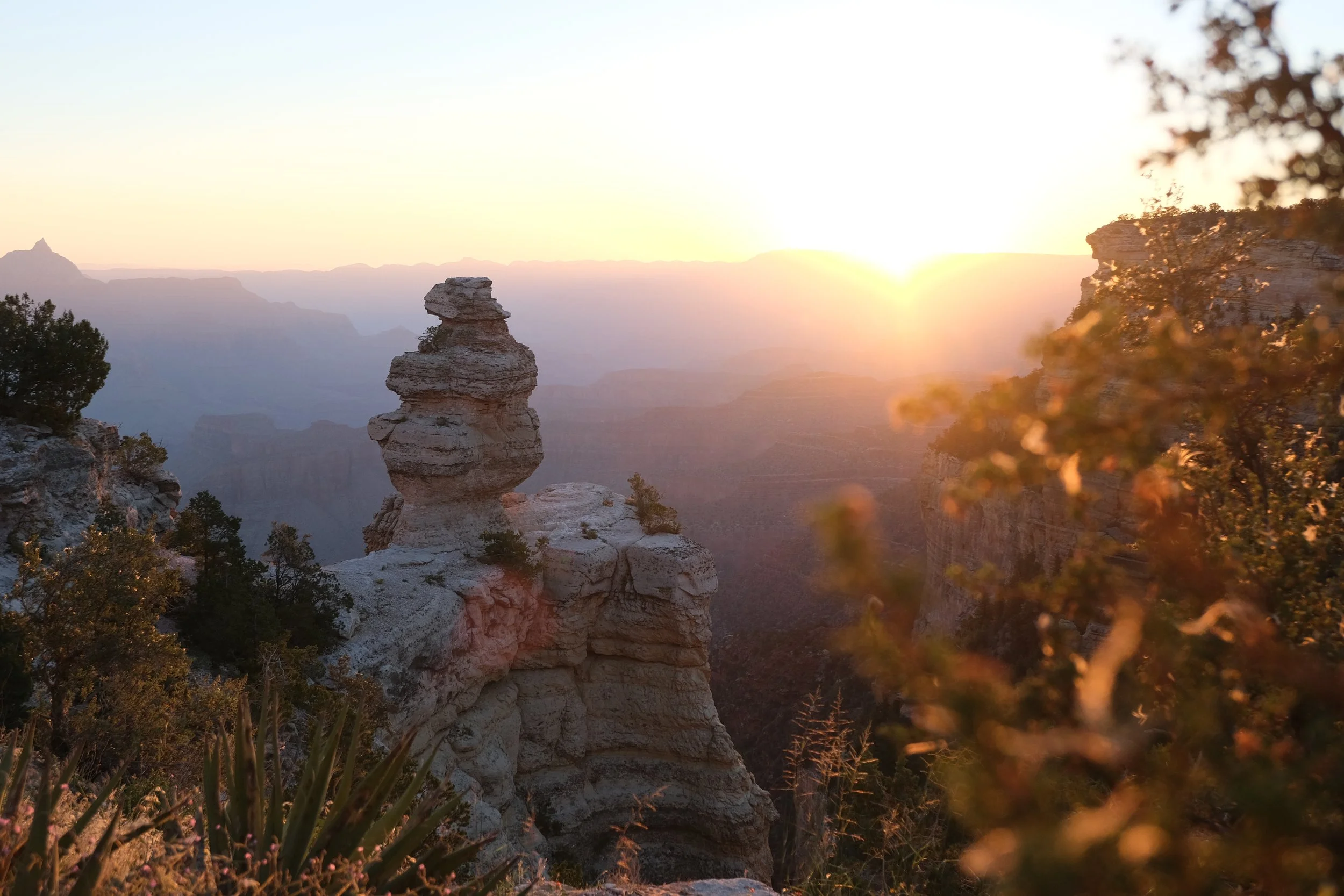 Sunset over the Grand Canyon with a prominent layered rock formation in the foreground and trees around