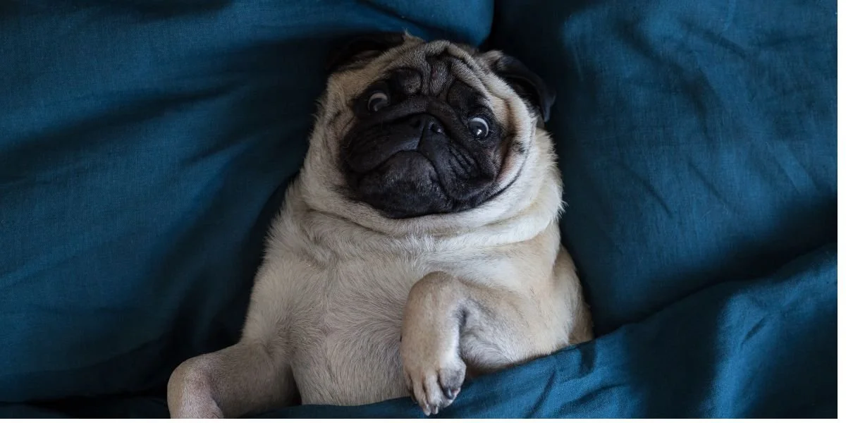 Too Much Time in Bed? What You Need to Know For Insomnia Recovery