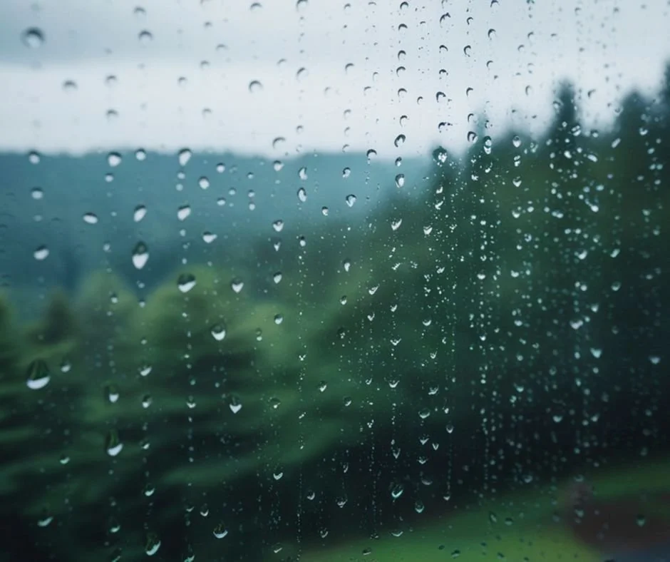 Raindrops on a window pane looking out at a blurred, moody pine forest, symbolizing a gentle, nervous-system-friendly approach to insomnia recovery.