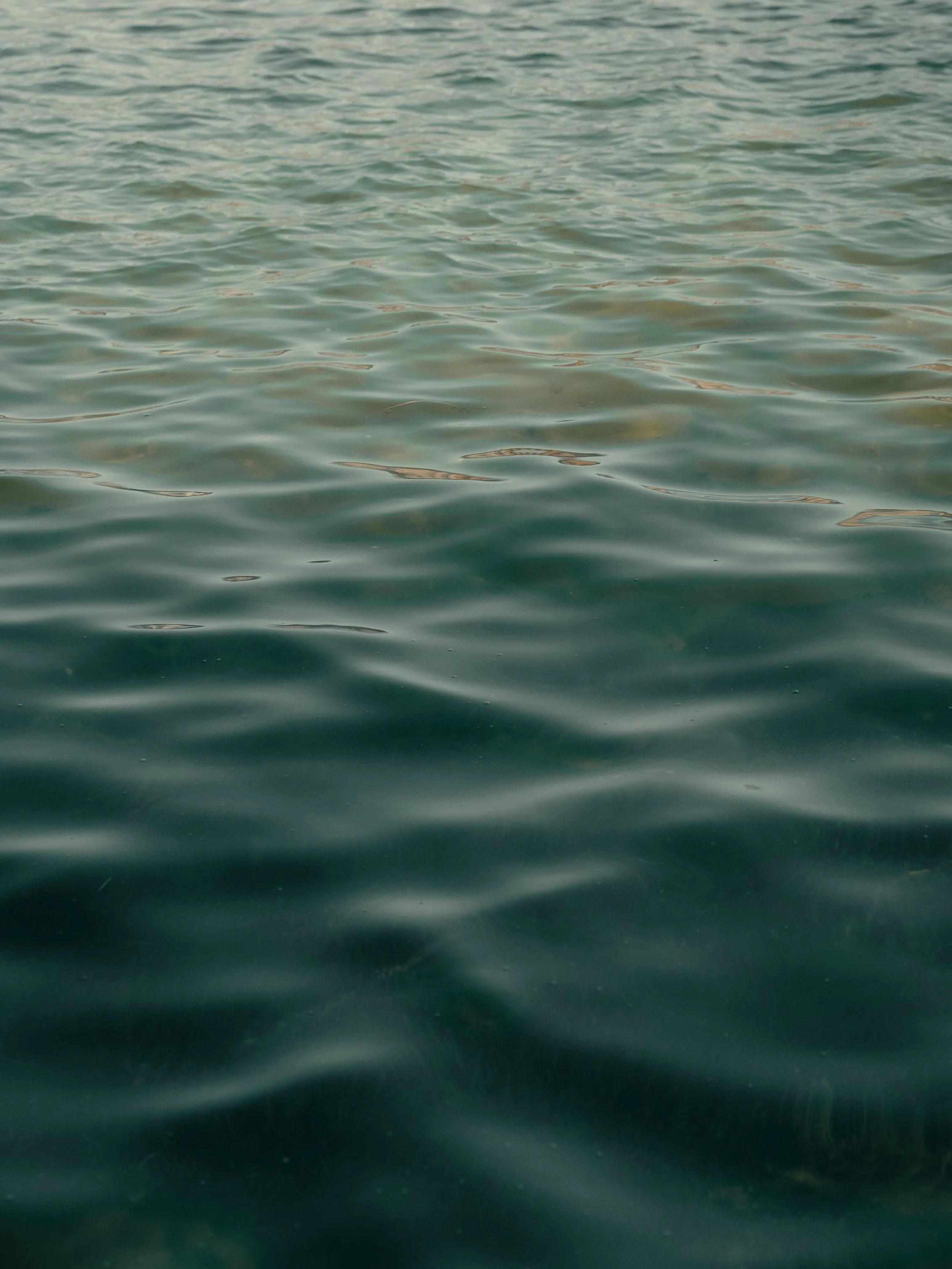 Lake.jpg