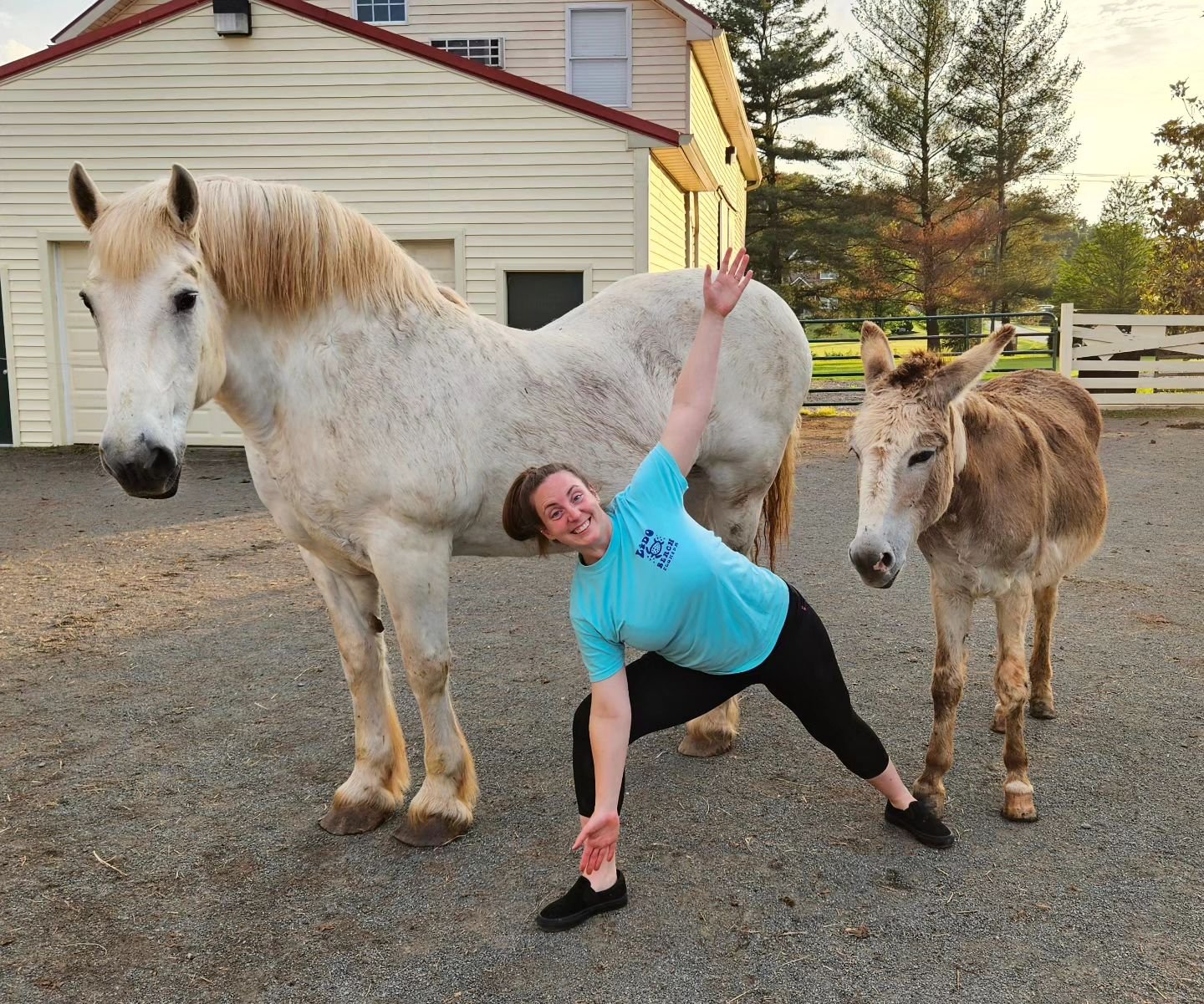 Yoga! Around horses! At @equineconnectioncenter next Friday, May 31 @ 6 PM!!

So psyched to be partnering with this amazing team dedicated to rescuing horses 🐎 come share your energy with these gentle giants and see what peace ✌️ it can bring!

Yogi