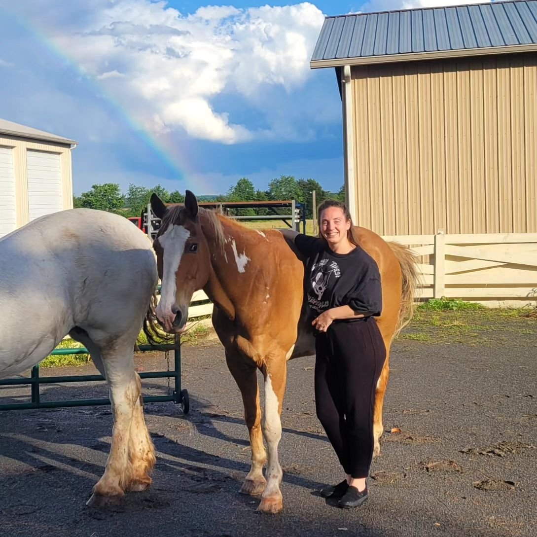 🌈🐎🌅🧘&zwj;♀️

Catch the sunset @equineconnectioncenter right her in Nokesville THIS FRIDAY 6PM! Tix at the link in bio ✨️
.
.
.
#local #horse #rescue #hatha #yoga