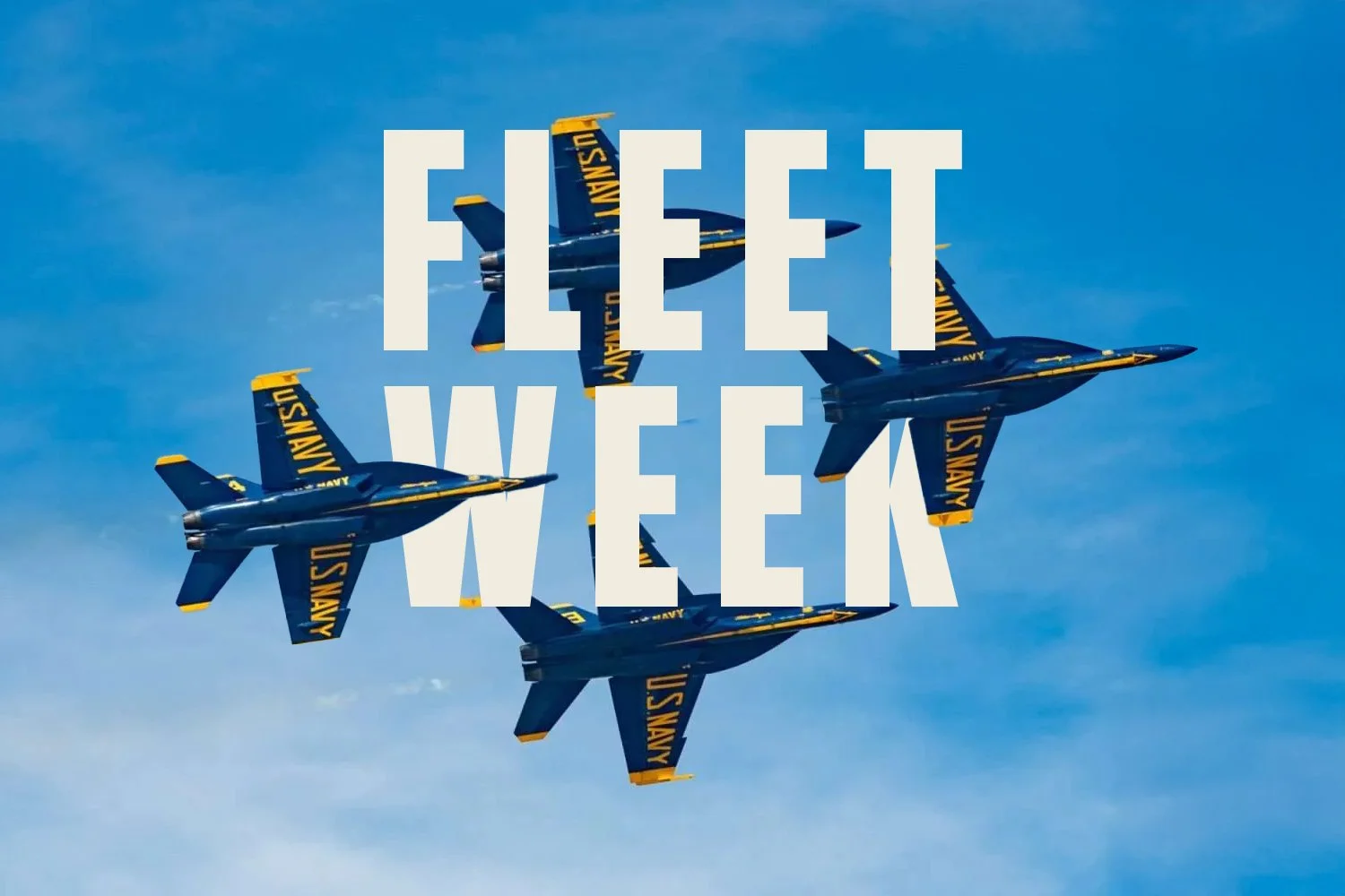 Fleet Week
