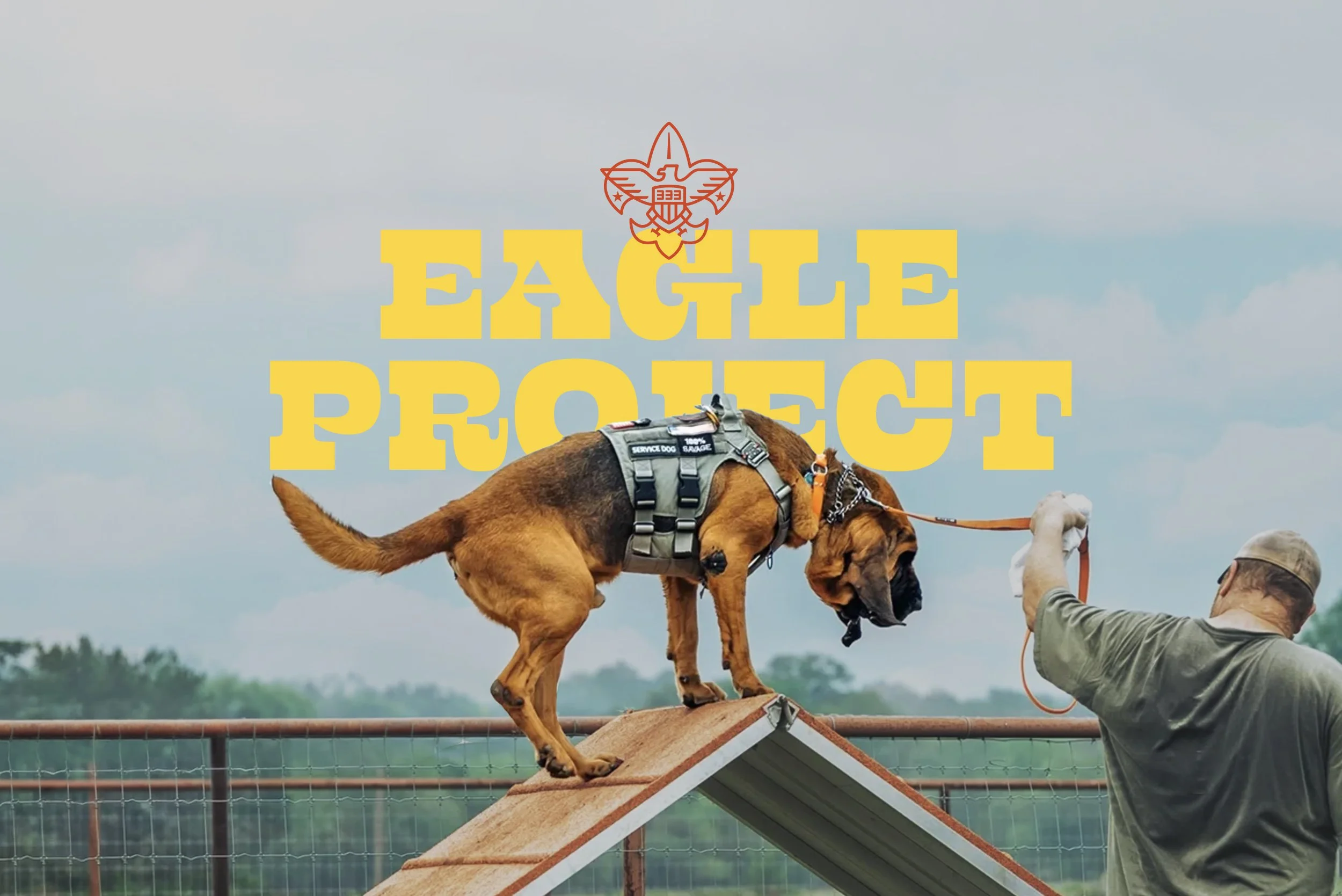 Skyler’s Eagle Project