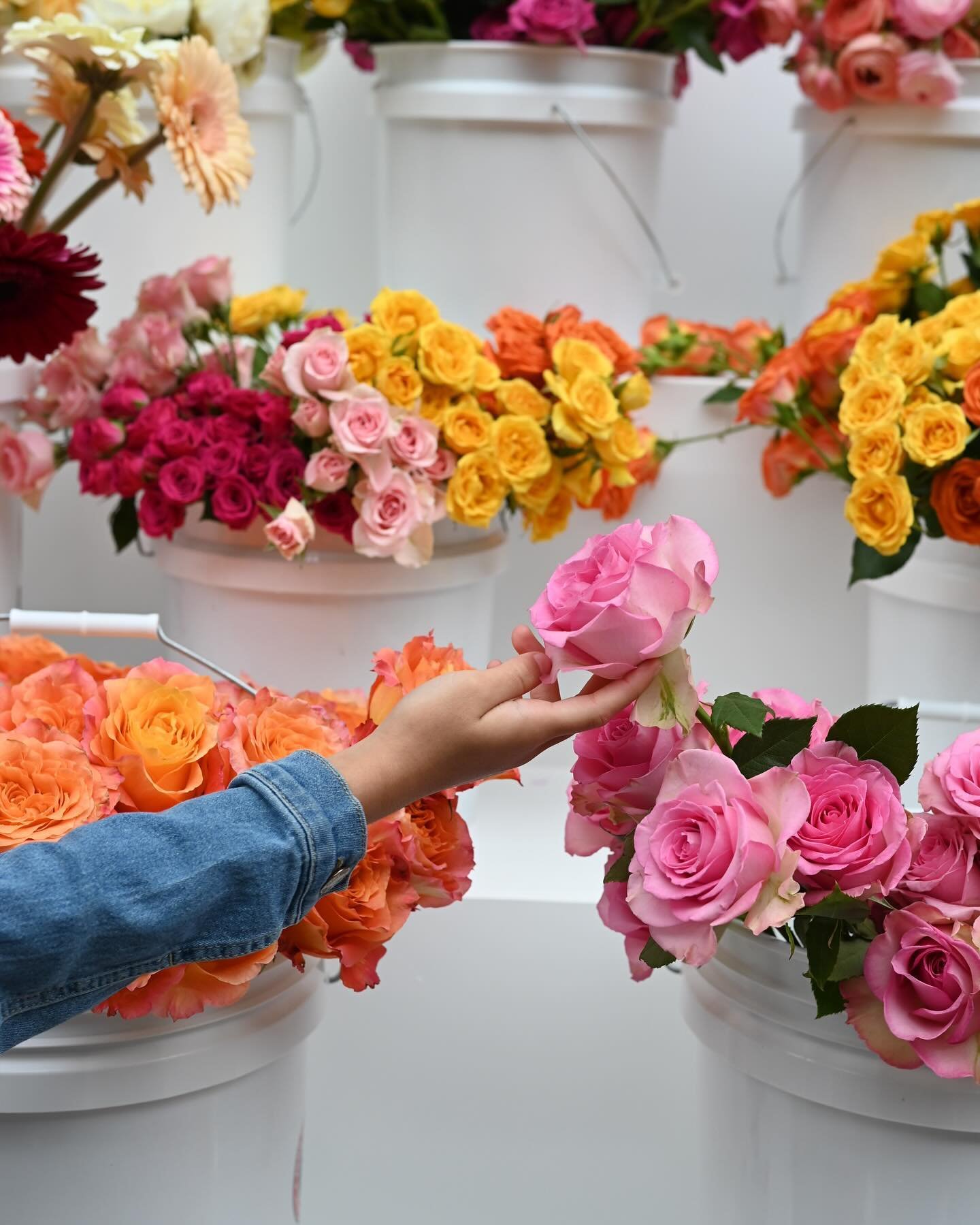 Floral Bar photo dump 🌸✨ we love seeing you guys pick out your fav flowers and sharing this experience with your loved ones!

-
-
-
-
-
#fineartflorist #flowerloversdaily #ihavethisthingforflowers #weddingfloraldesign #weddingflowerinspiration #enga