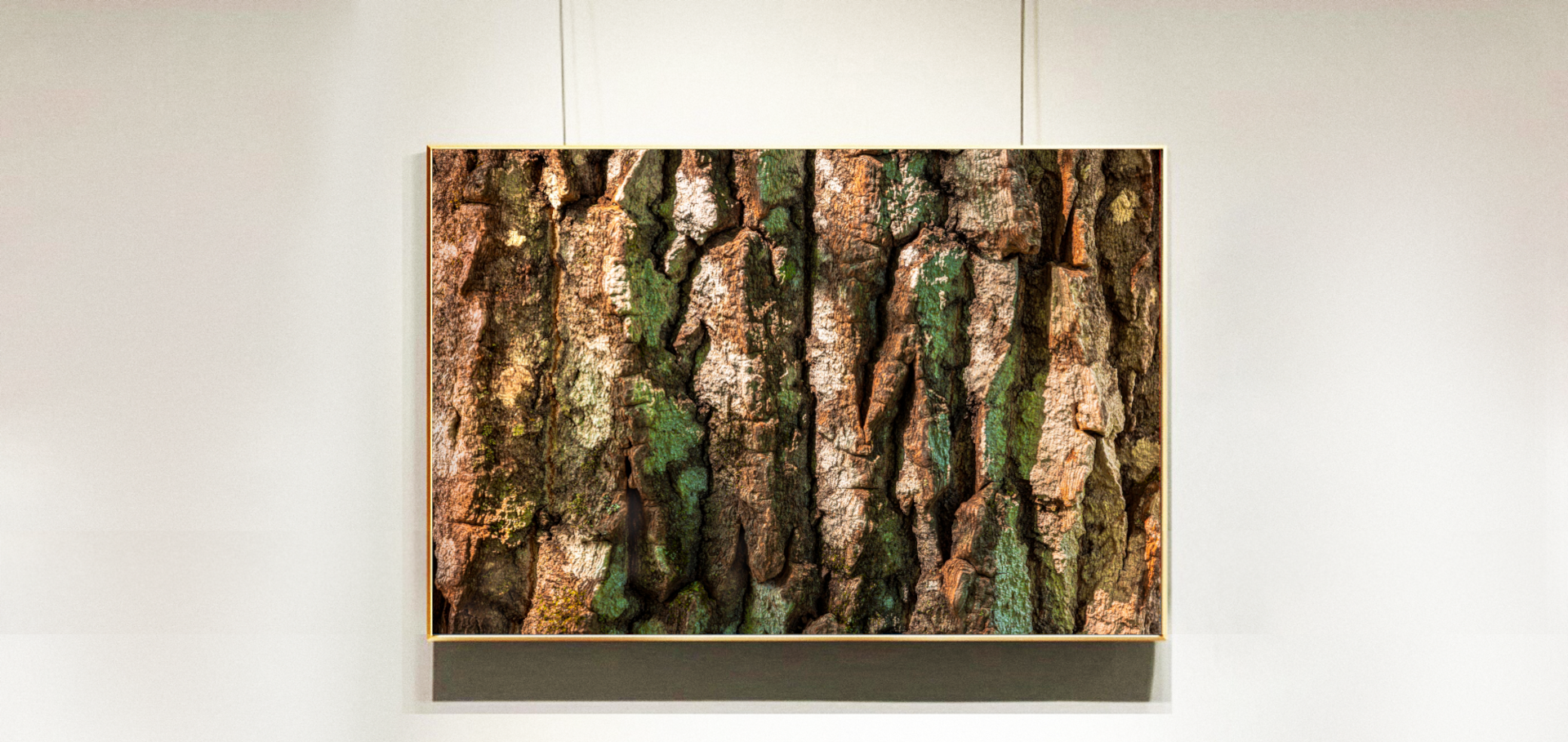 emerald-bark-framed.png