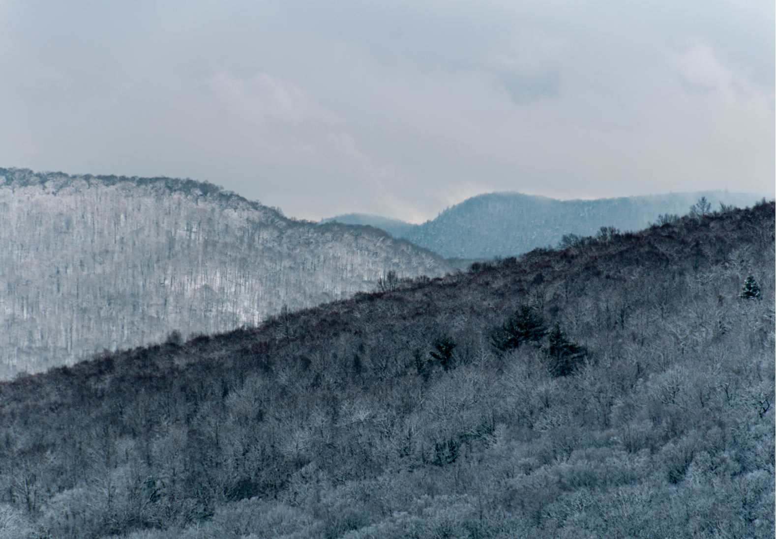 Silent Snow2.png