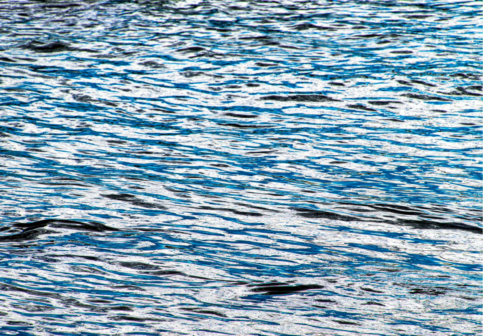Shimmering Sea2.png
