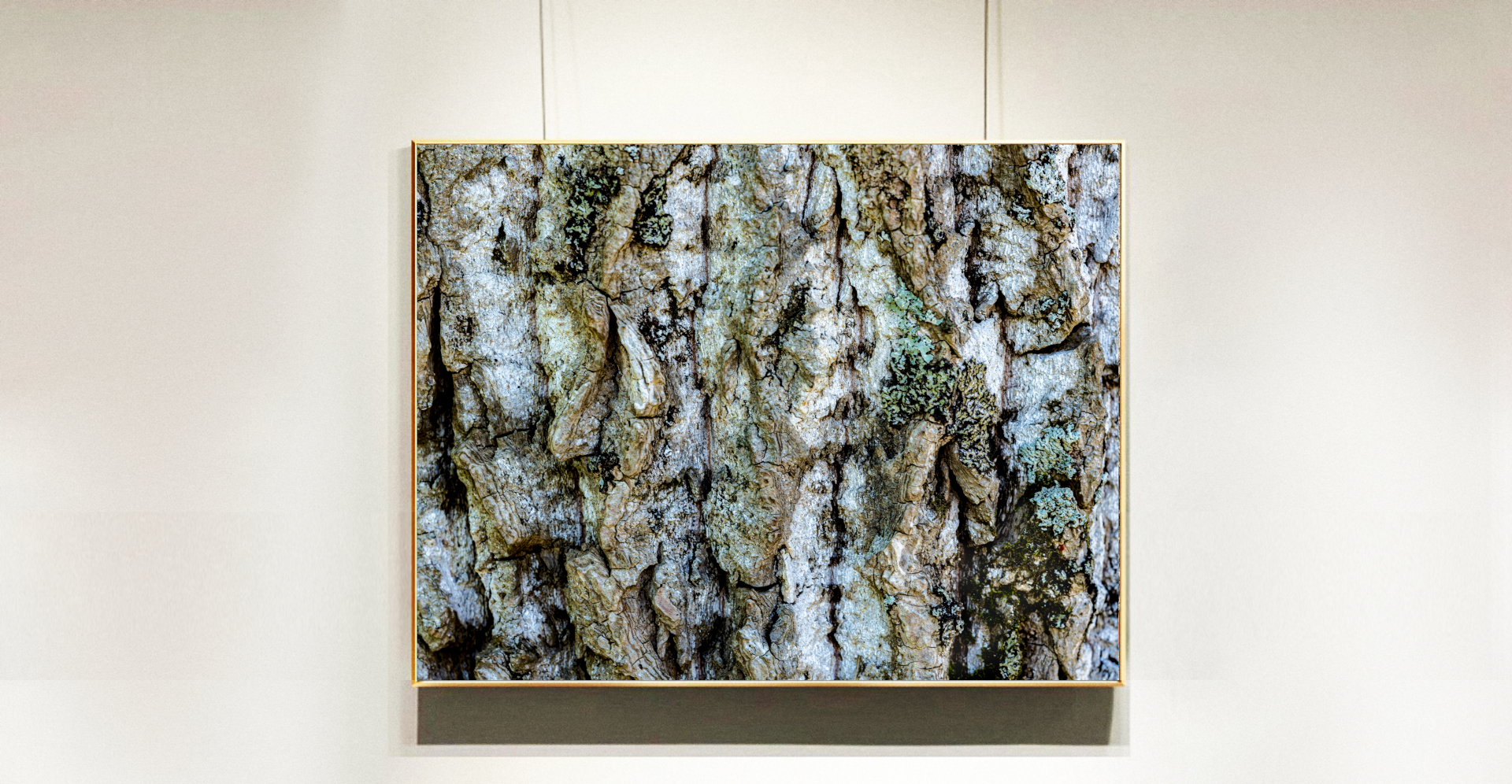 pastel-bark-framed.png