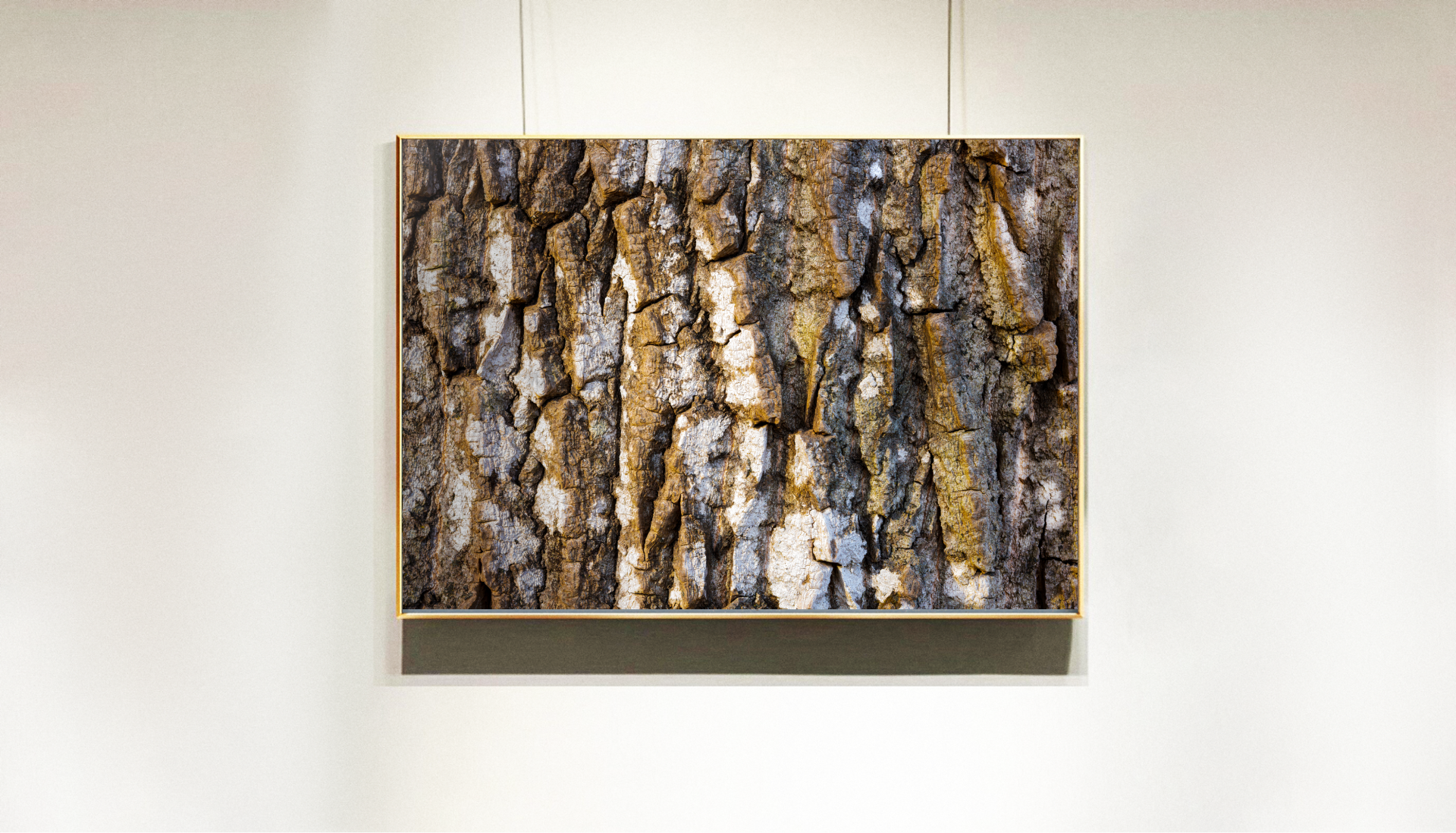 Dappled Bark1.png