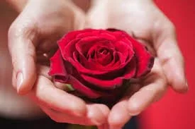 rosess.jpg