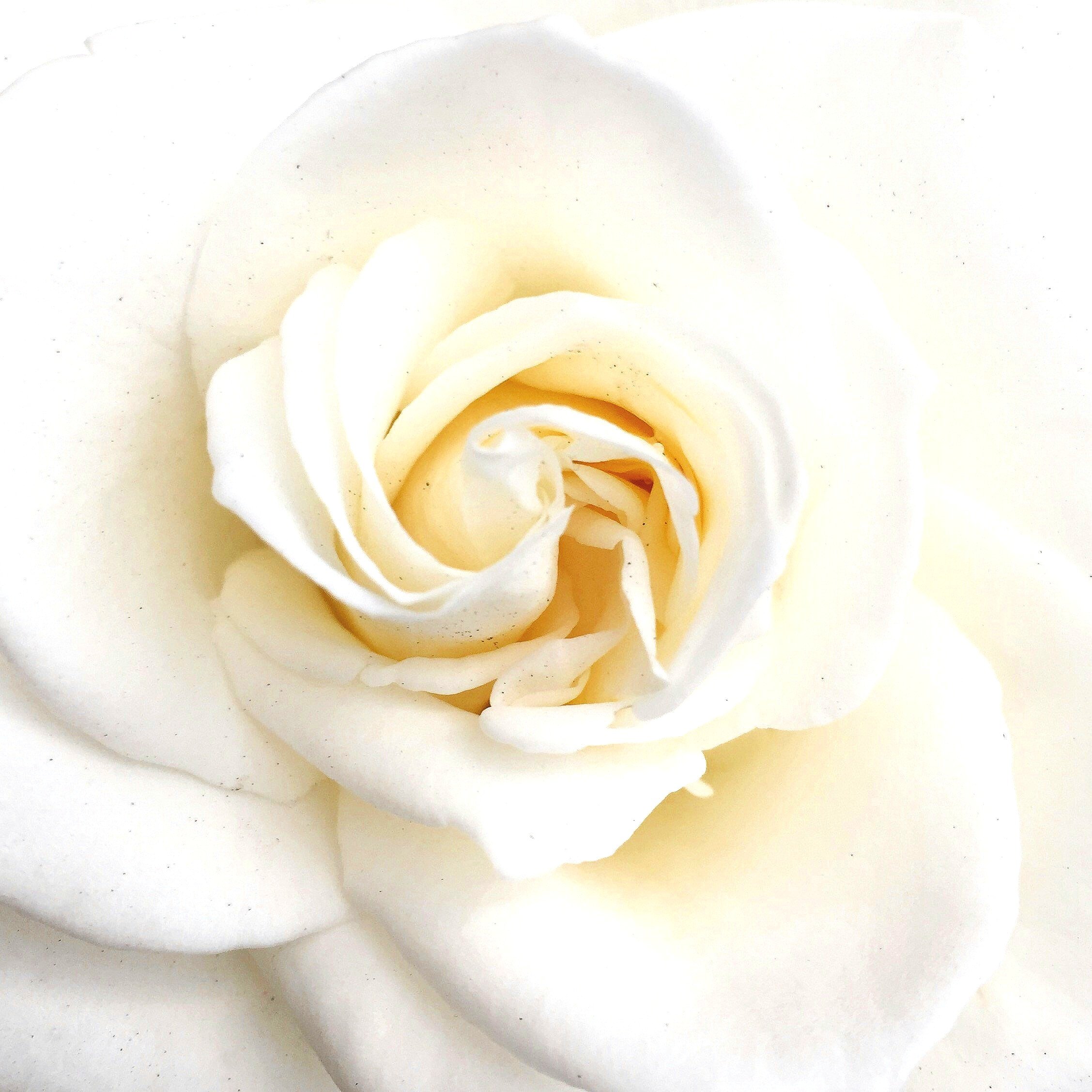 Changing Woman: Embracing the Sacred Feminine (Ontario, Canada)