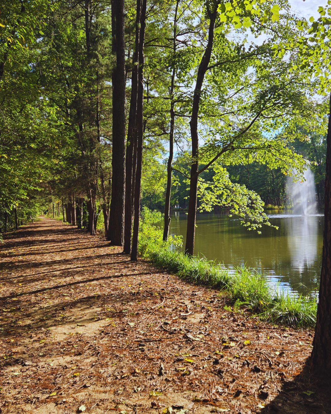 Resetting for fall