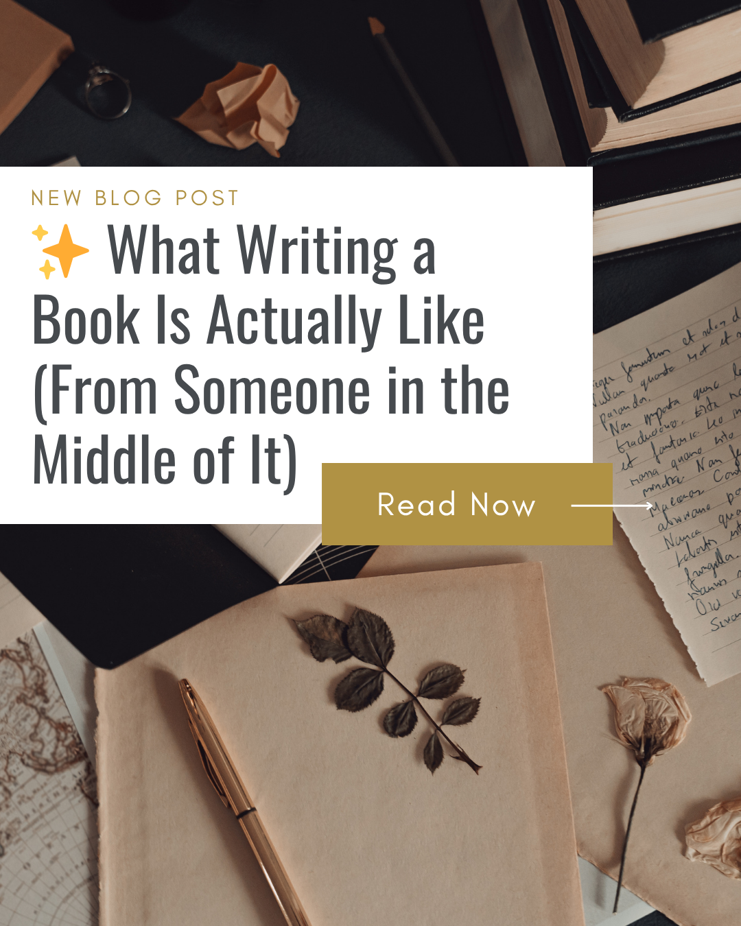 What Writing a Book Is Actually Like (From Someone in the Middle of It)