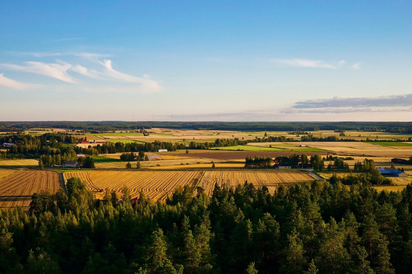 Flat fields, golden light, endless horizons. 🌾✨ Finland at its calmest.