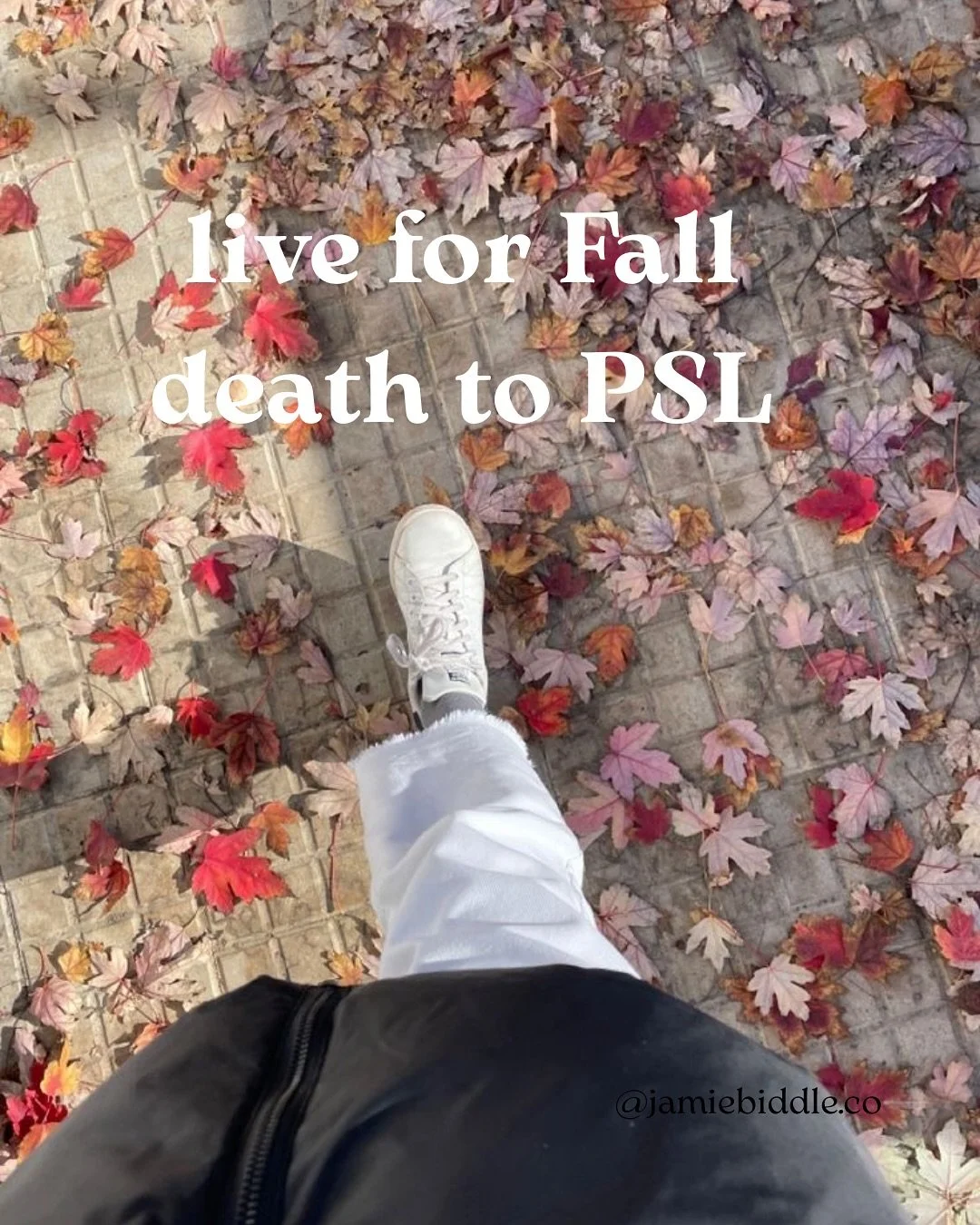 Some thoughts. Mostly vibes. Equinox edition.

What one are you feeling this first week of fall?