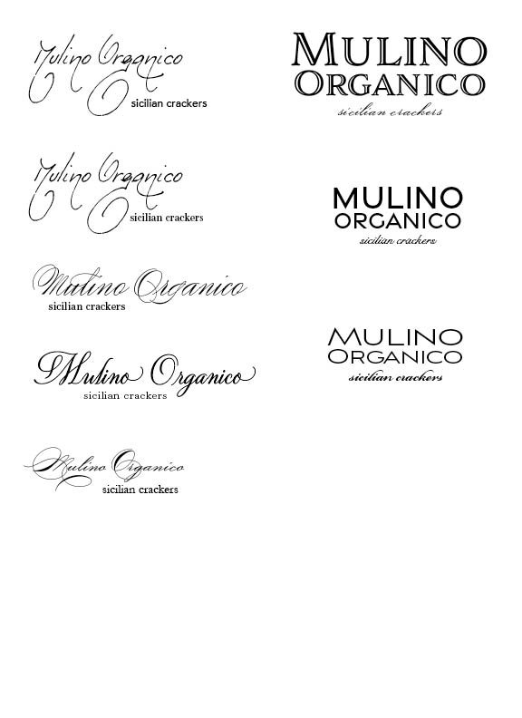Type Study