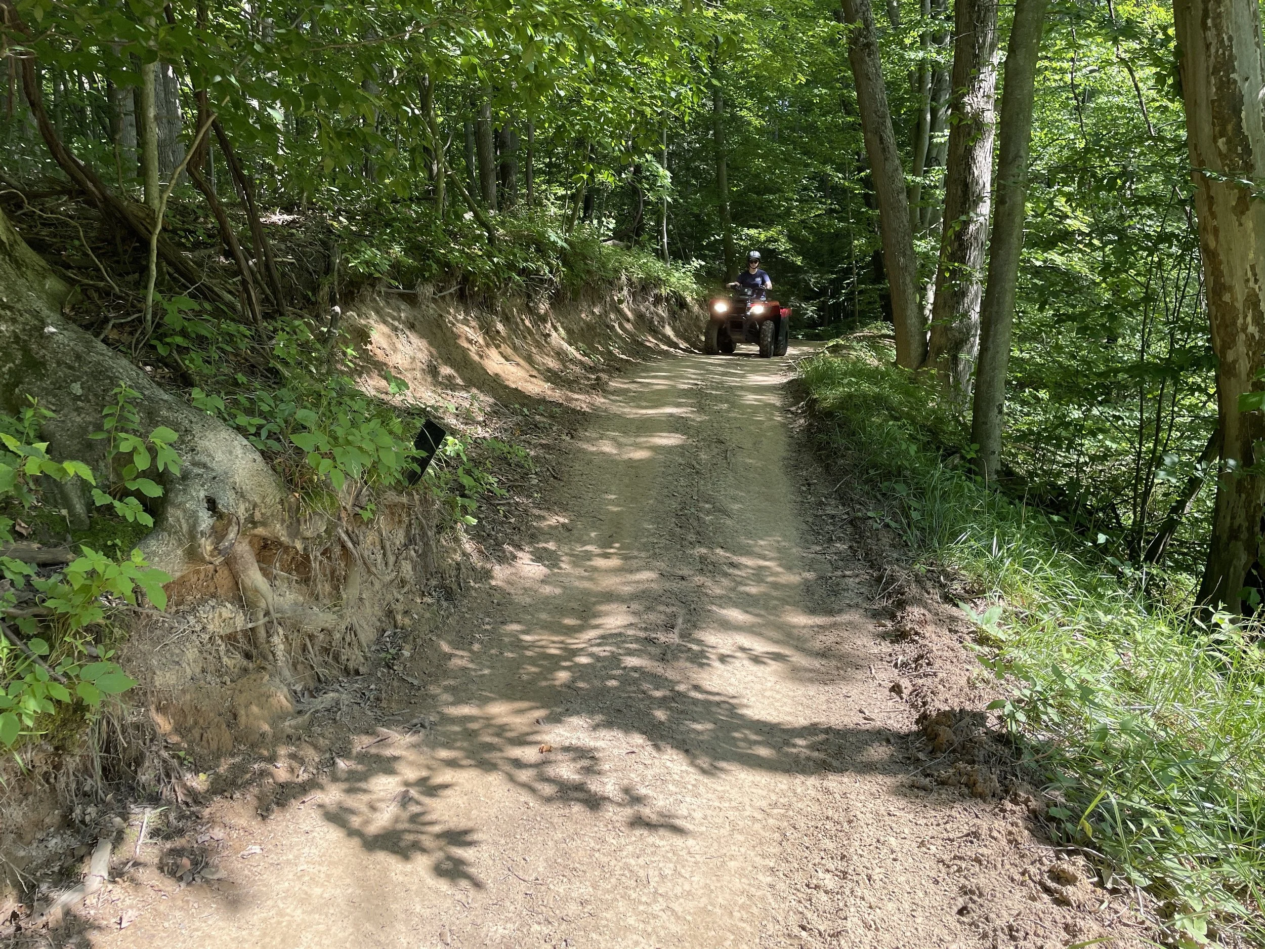 A person riding an all-terrain vehicle (ATV) on a dirt trail through a dense forest with lush green leaves and tall trees.