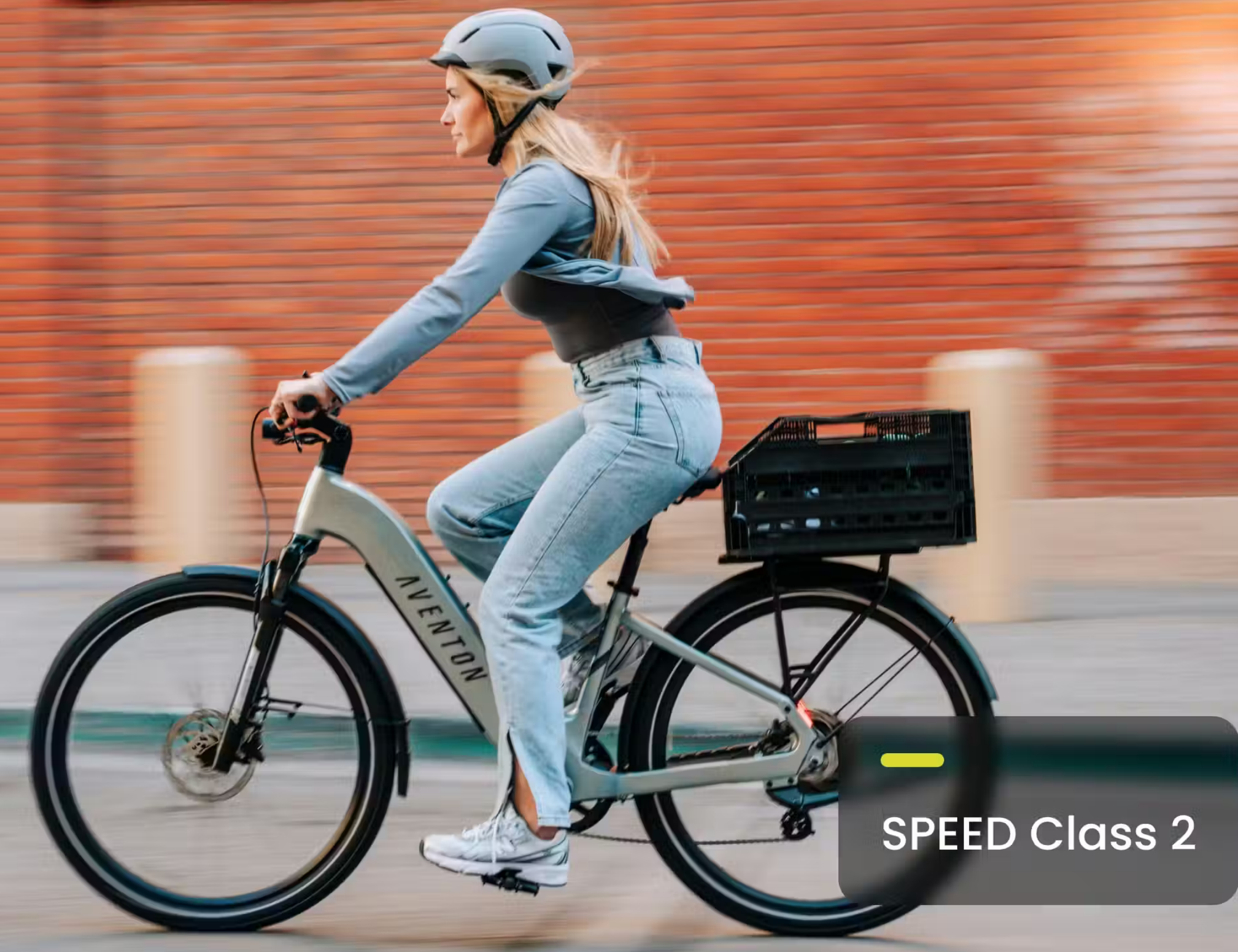 Screenshot 2026-03-13 123931.png