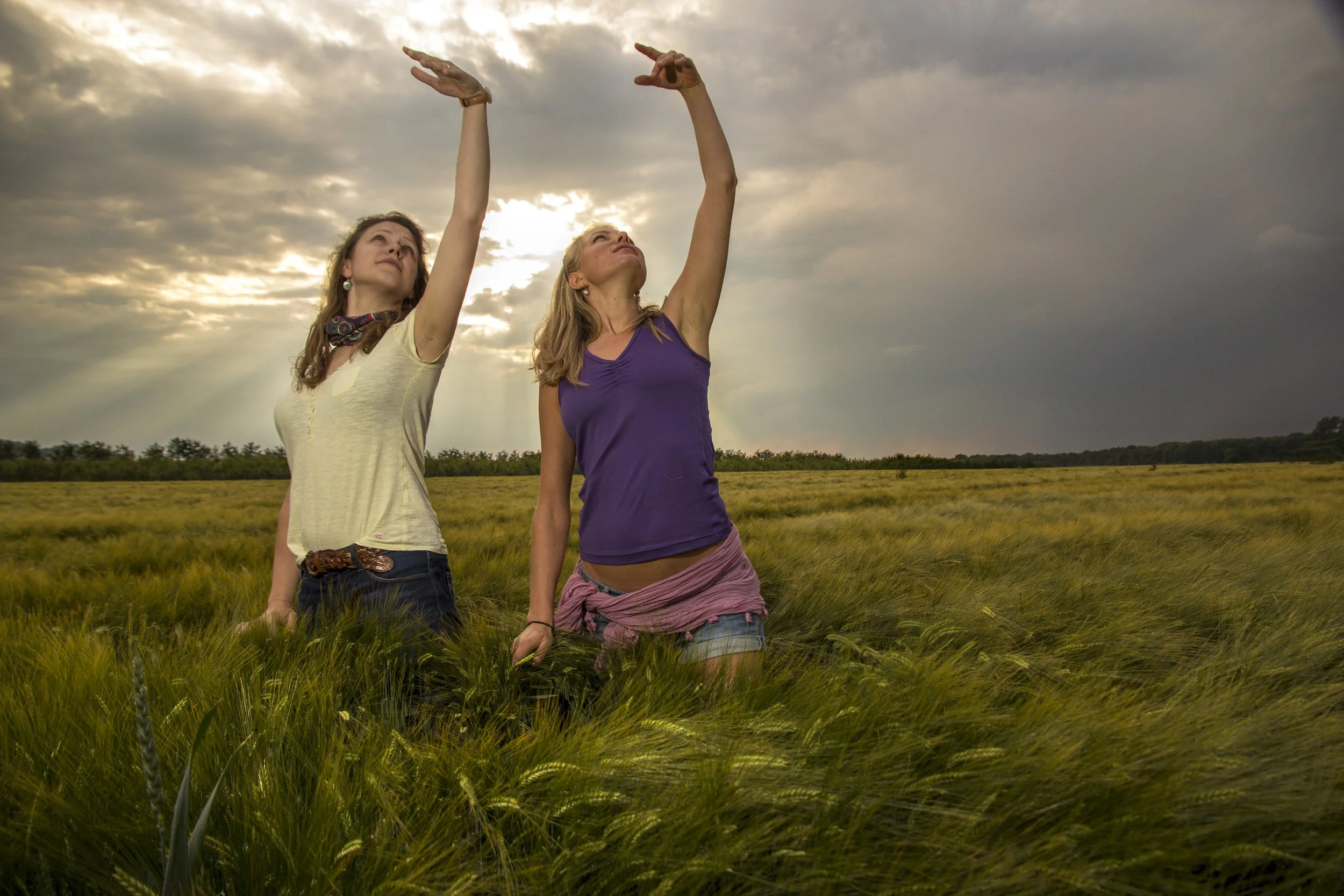 15.-16. November 2025 - Handpan meets Wutao - a new rhythm of being