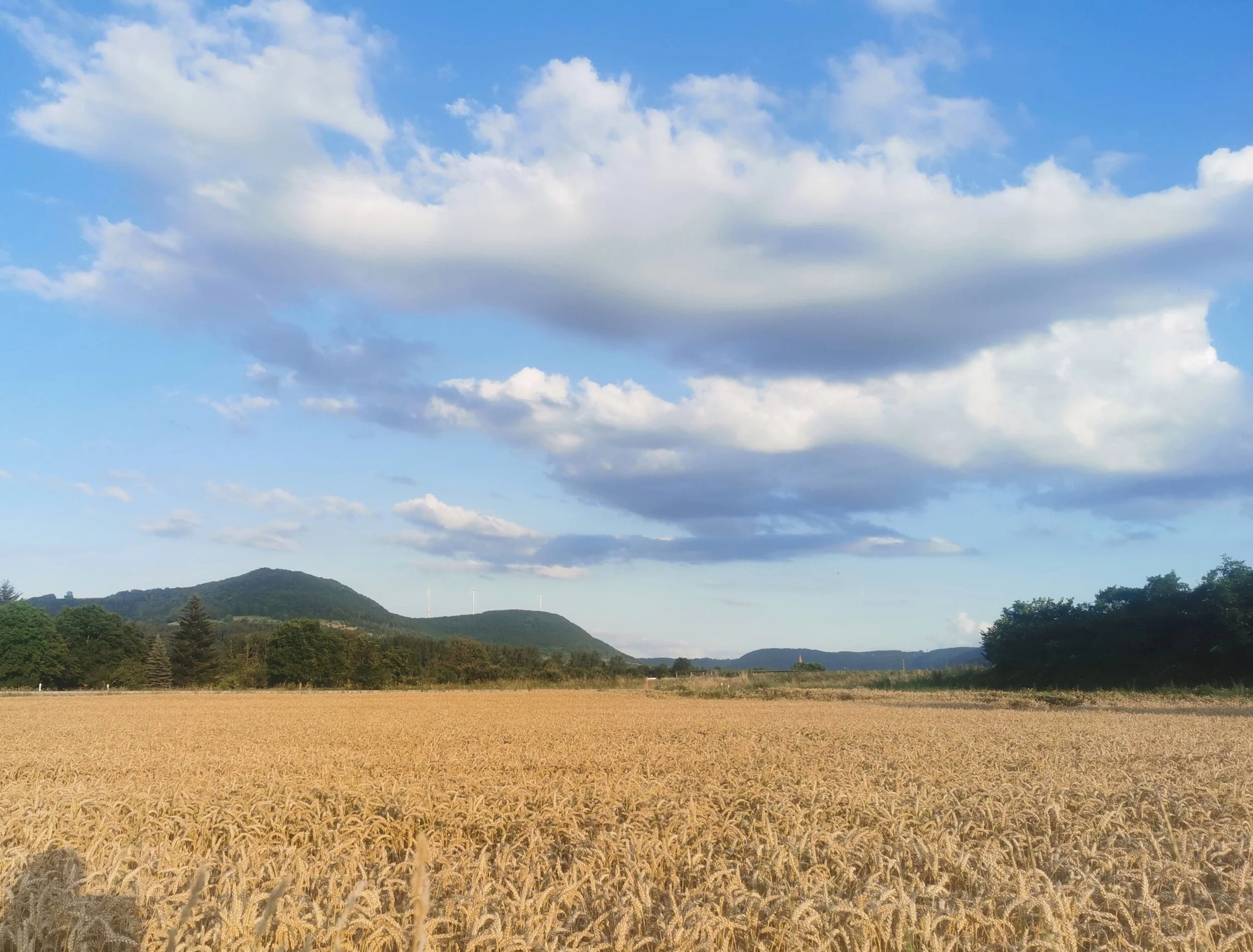 field and the sky.jpeg